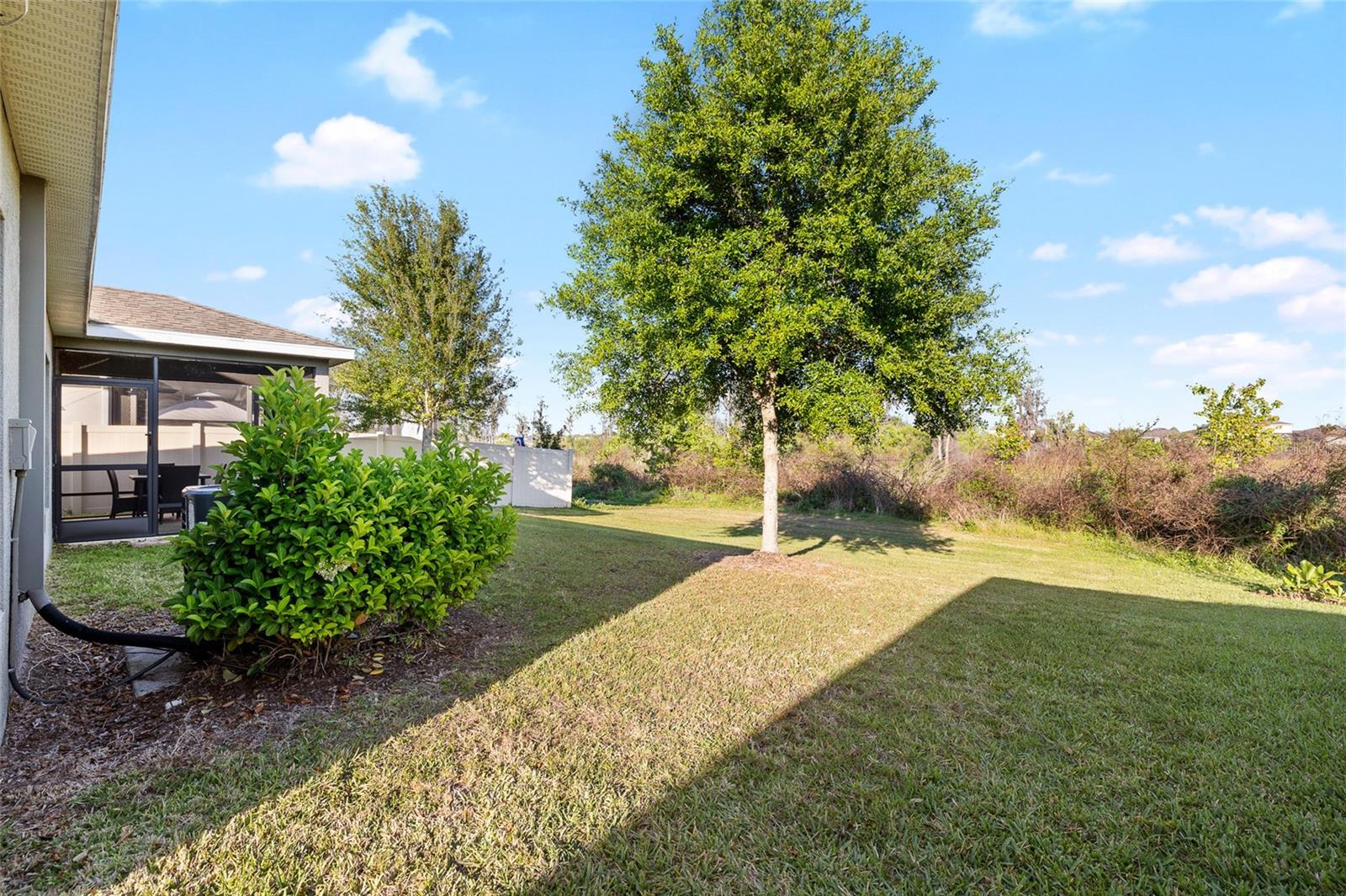 10196 CROSS TIMBER TER, LAND O LAKES, FL, 34638