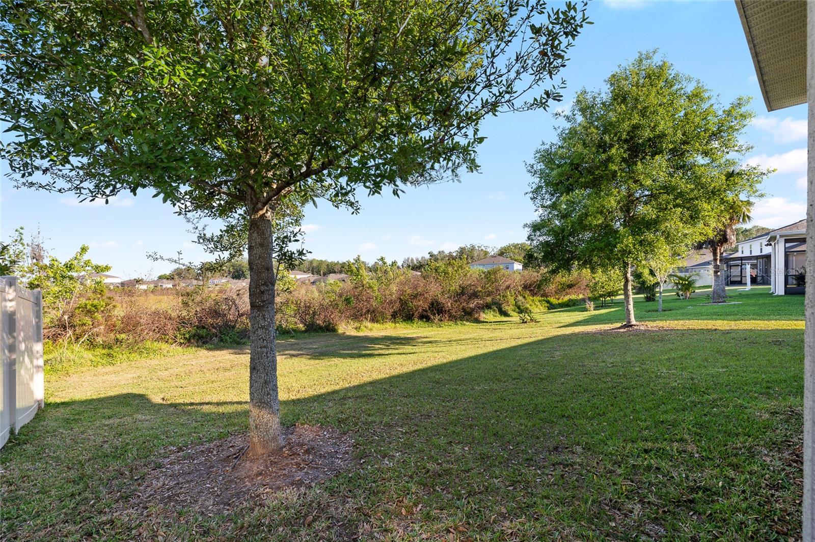 10196 CROSS TIMBER TER, LAND O LAKES, FL, 34638