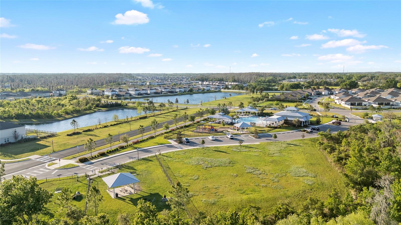 10196 CROSS TIMBER TER, LAND O LAKES, FL, 34638