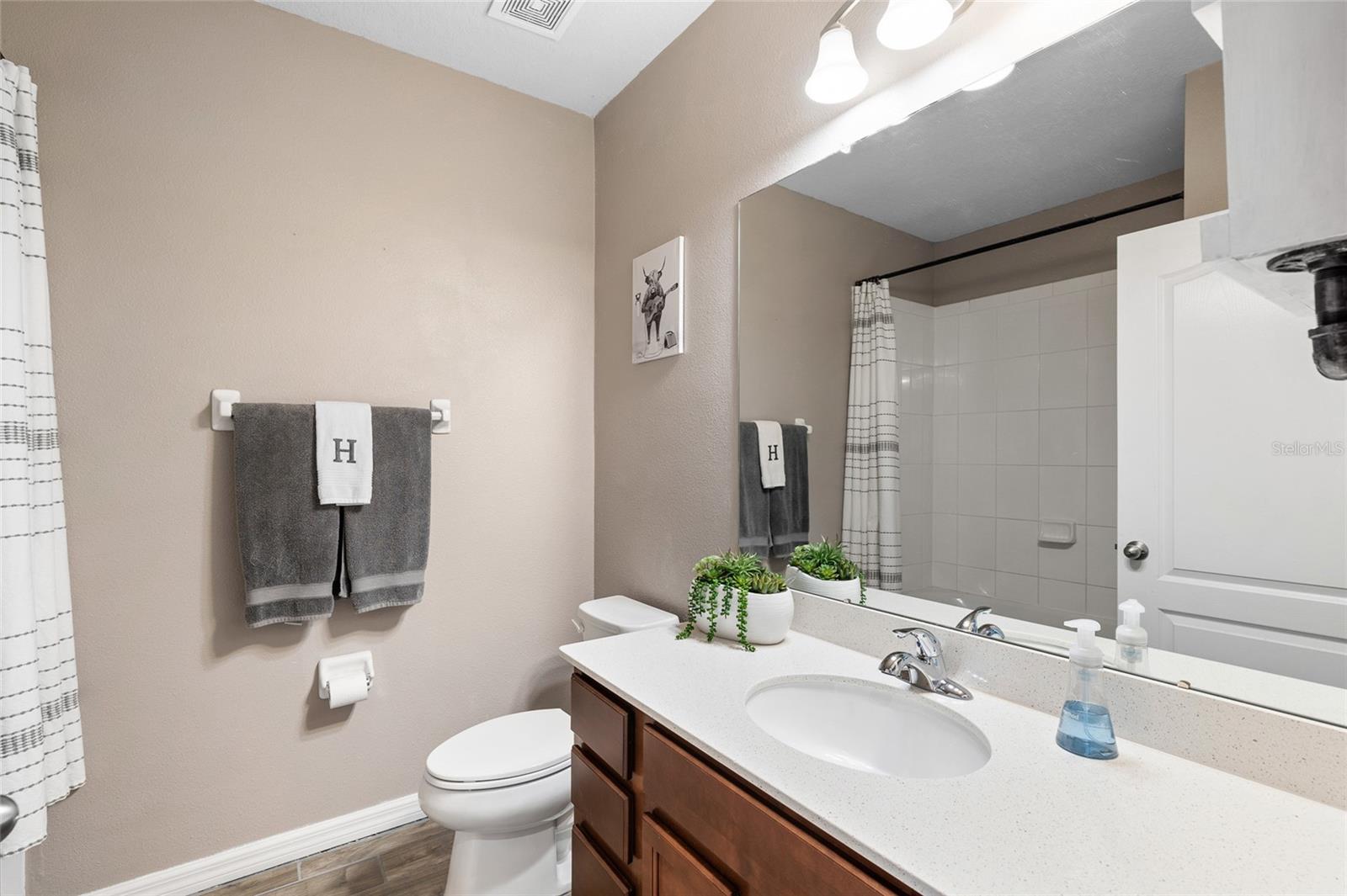 10196 CROSS TIMBER TER, LAND O LAKES, FL, 34638