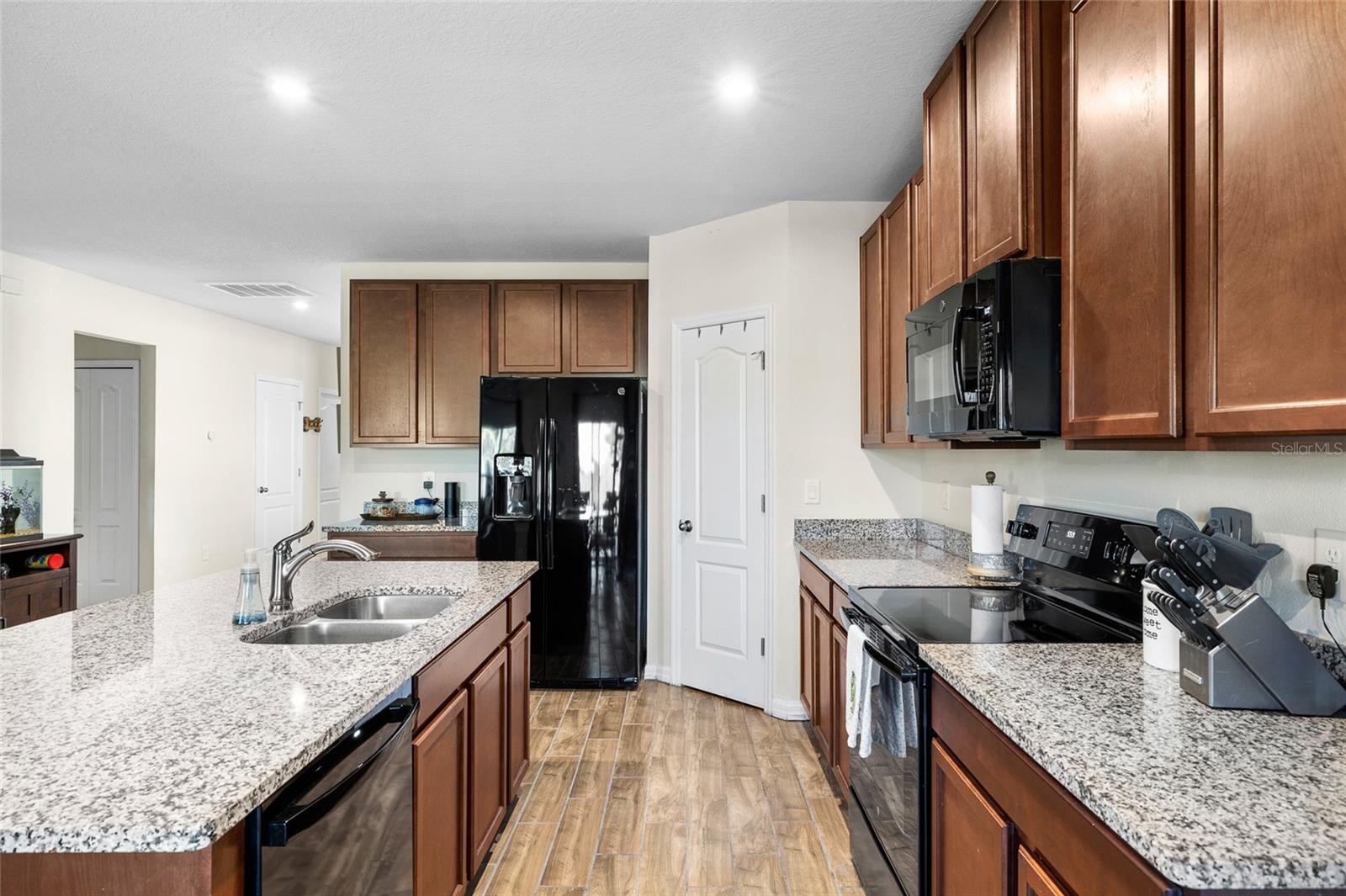 10196 CROSS TIMBER TER, LAND O LAKES, FL, 34638