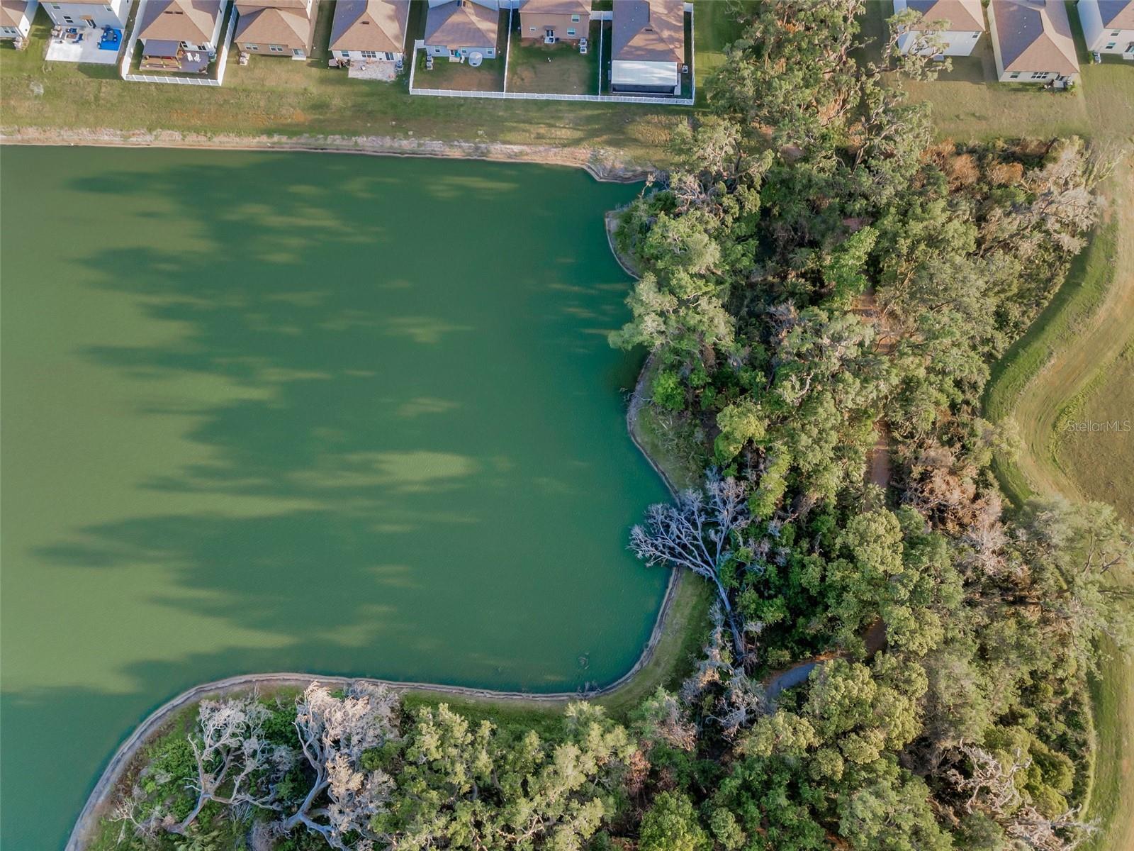 36419 FLATS ST, ZEPHYRHILLS, FL, 33541