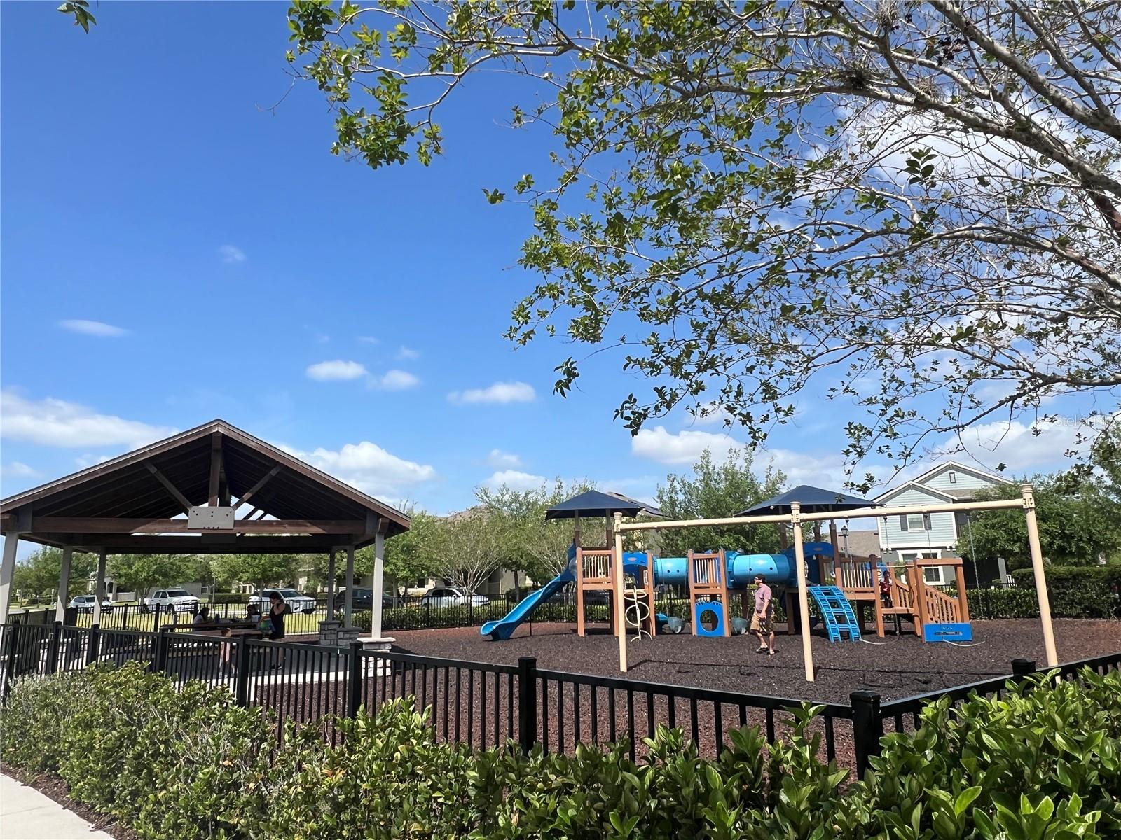 16033 MANGROVE RD, WINTER GARDEN, FL, 34787