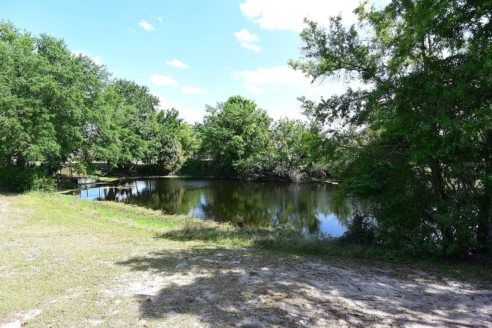 23310 CASCADE PL, LAND O LAKES, FL, 34639