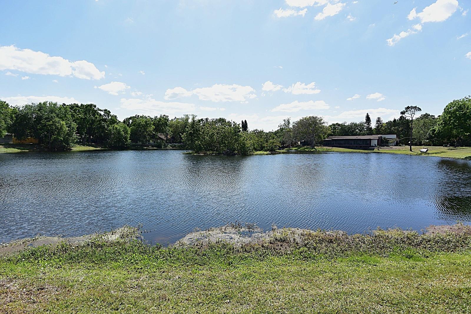 23310 CASCADE PL, LAND O LAKES, FL, 34639