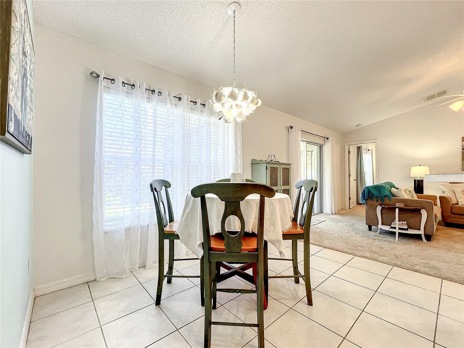 1407 ISLAND COVE DR, DELAND, FL, 32724