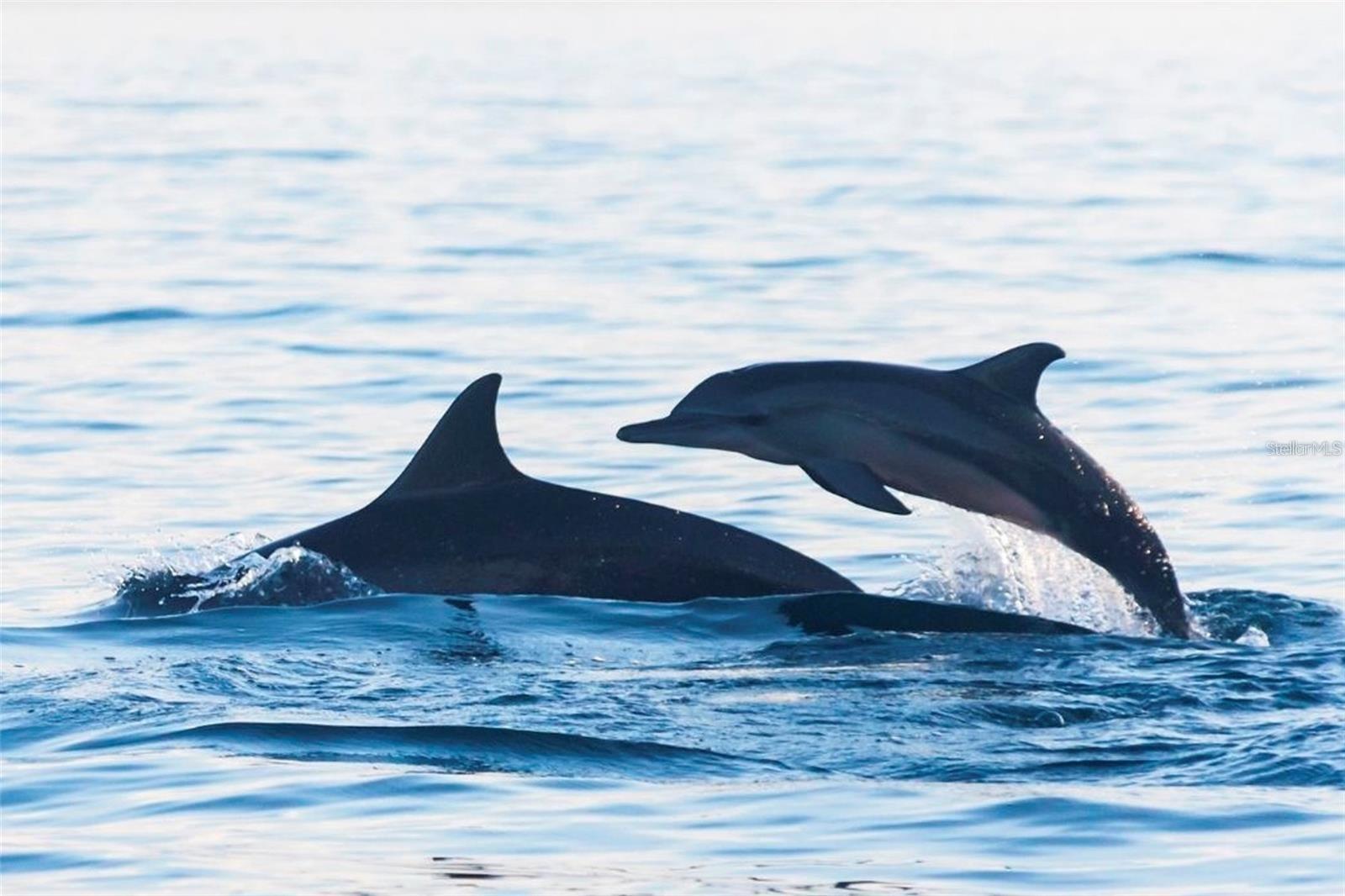 1428 19TH ST, SARASOTA, FL, 34234