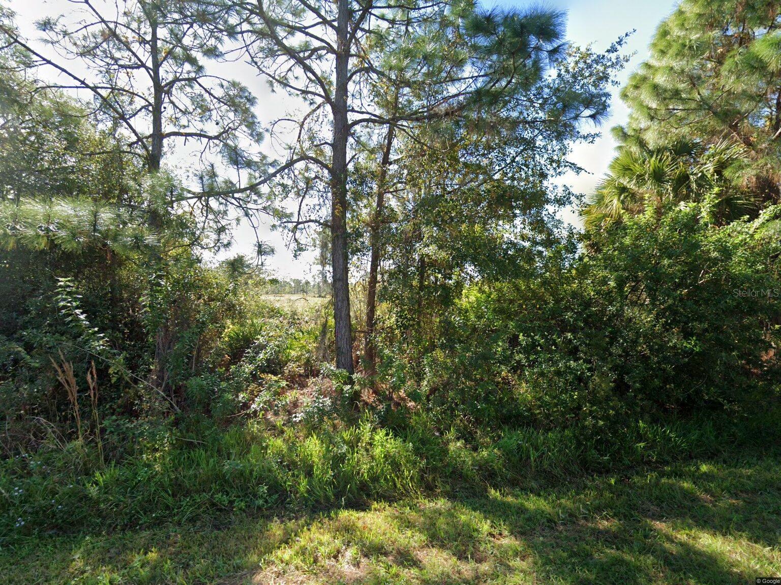 26373 SCHAM RD, PUNTA GORDA, FL, 33955