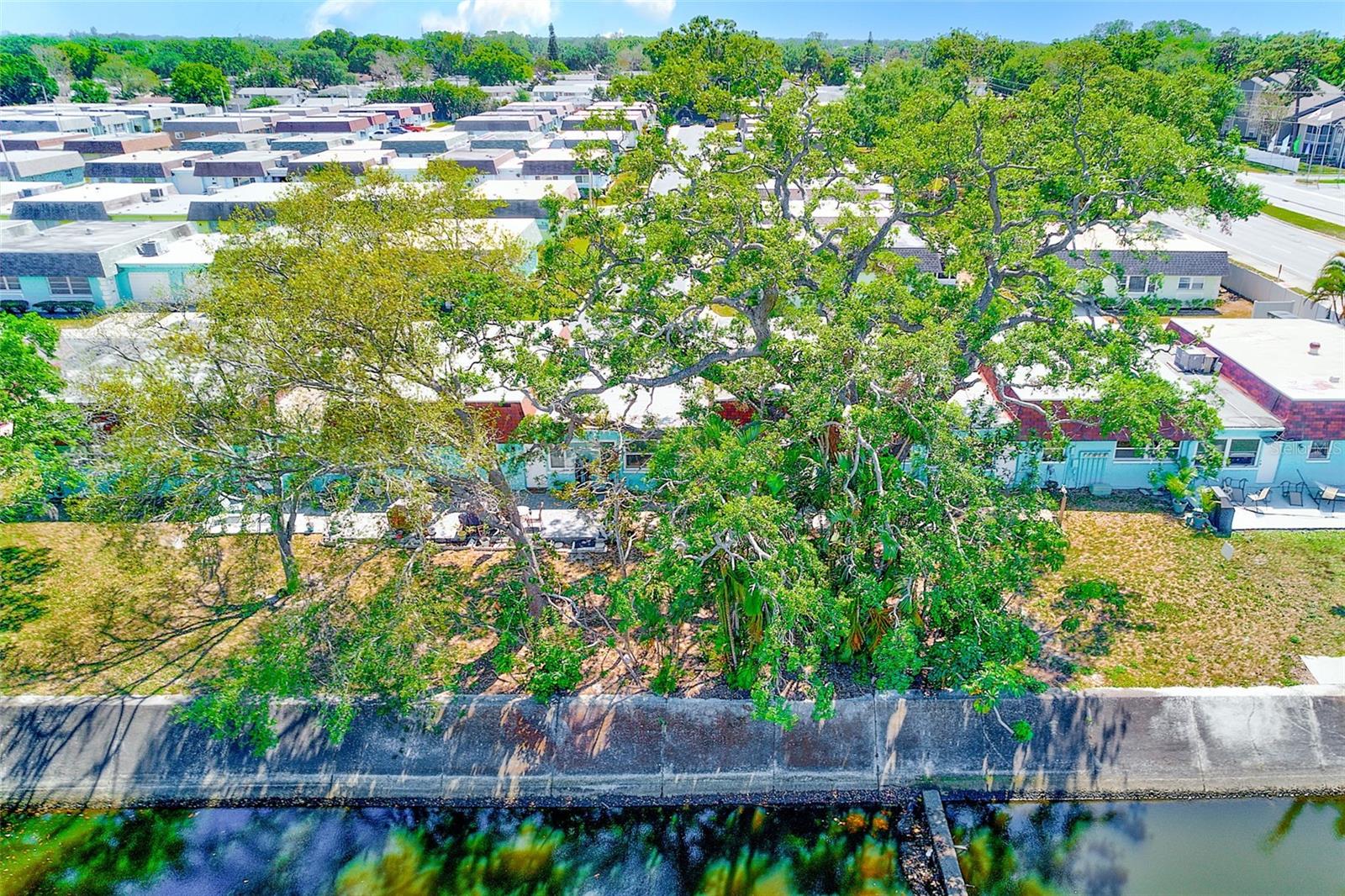 7081 LAFAYETTE N, PINELLAS PARK, FL, 33781