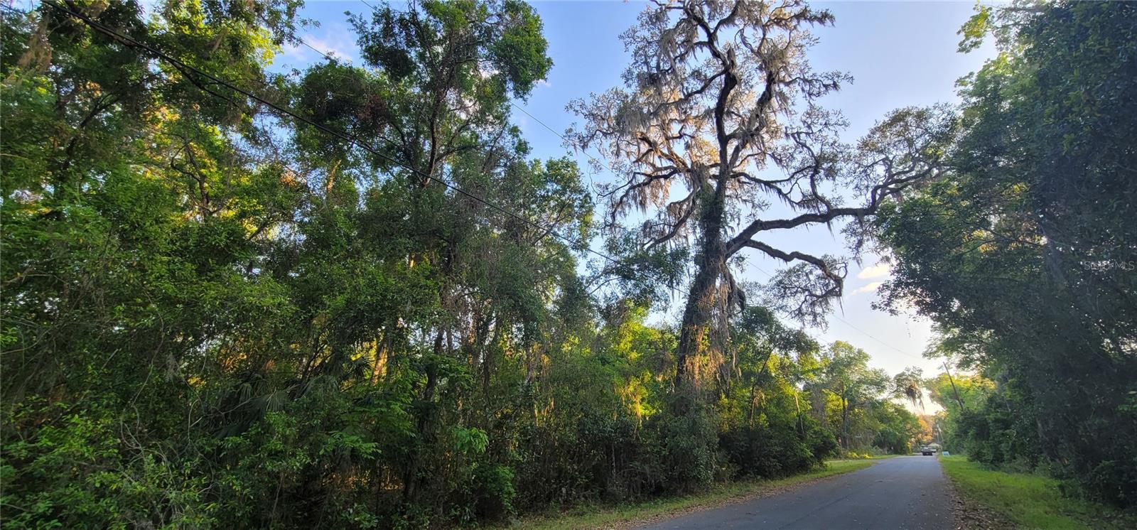 10538 E BOBLINK LN, FLORAL CITY, FL, 34436