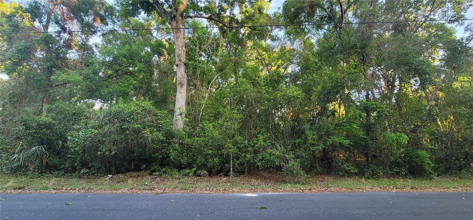 10538 E BOBLINK LN, FLORAL CITY, FL, 34436