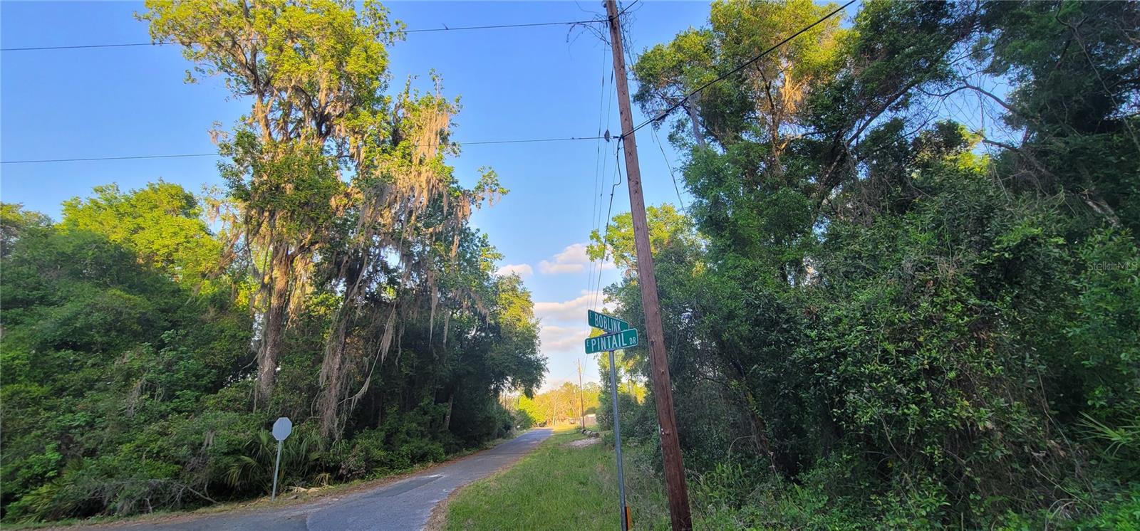 10538 E BOBLINK LN, FLORAL CITY, FL, 34436