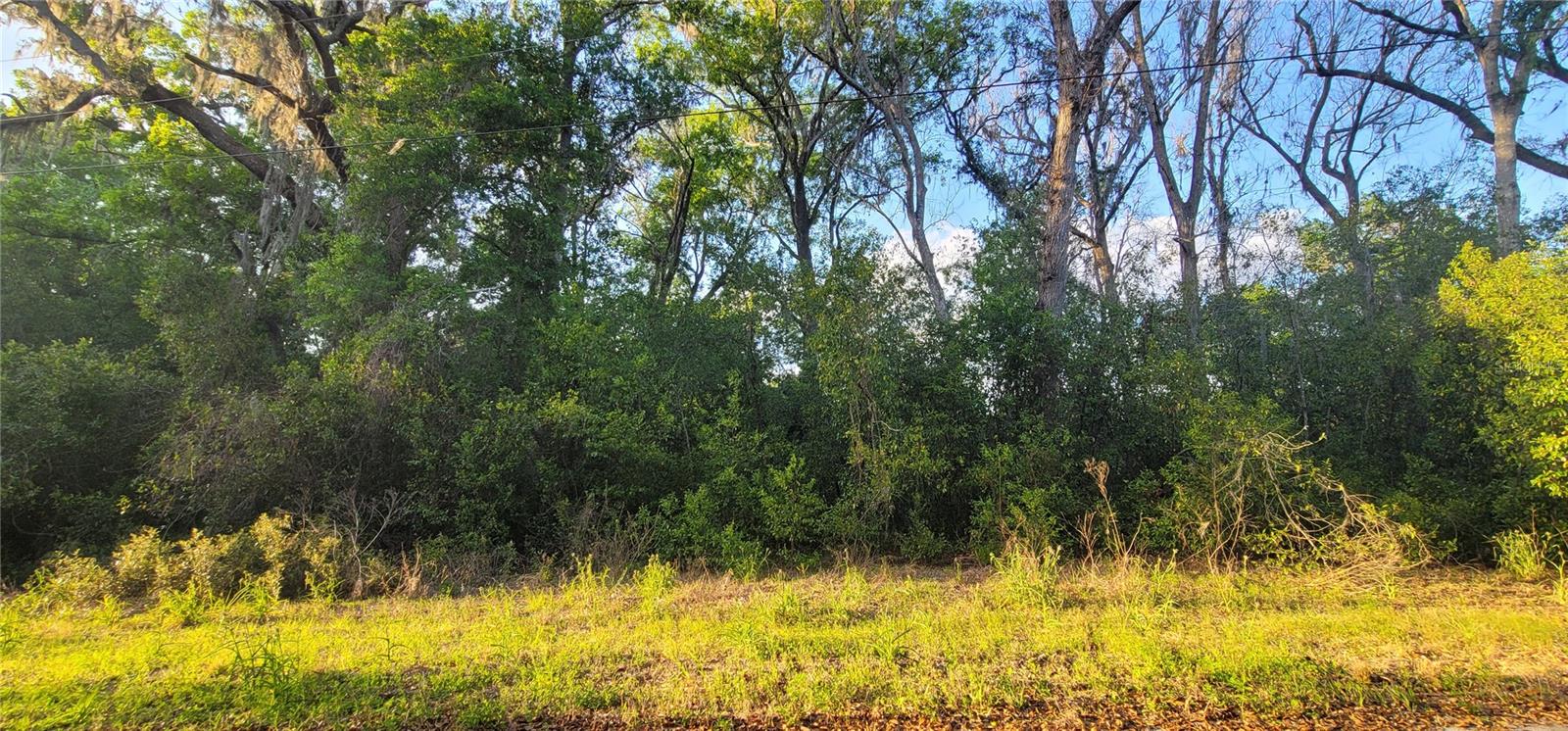 10538 E BOBLINK LN, FLORAL CITY, FL, 34436