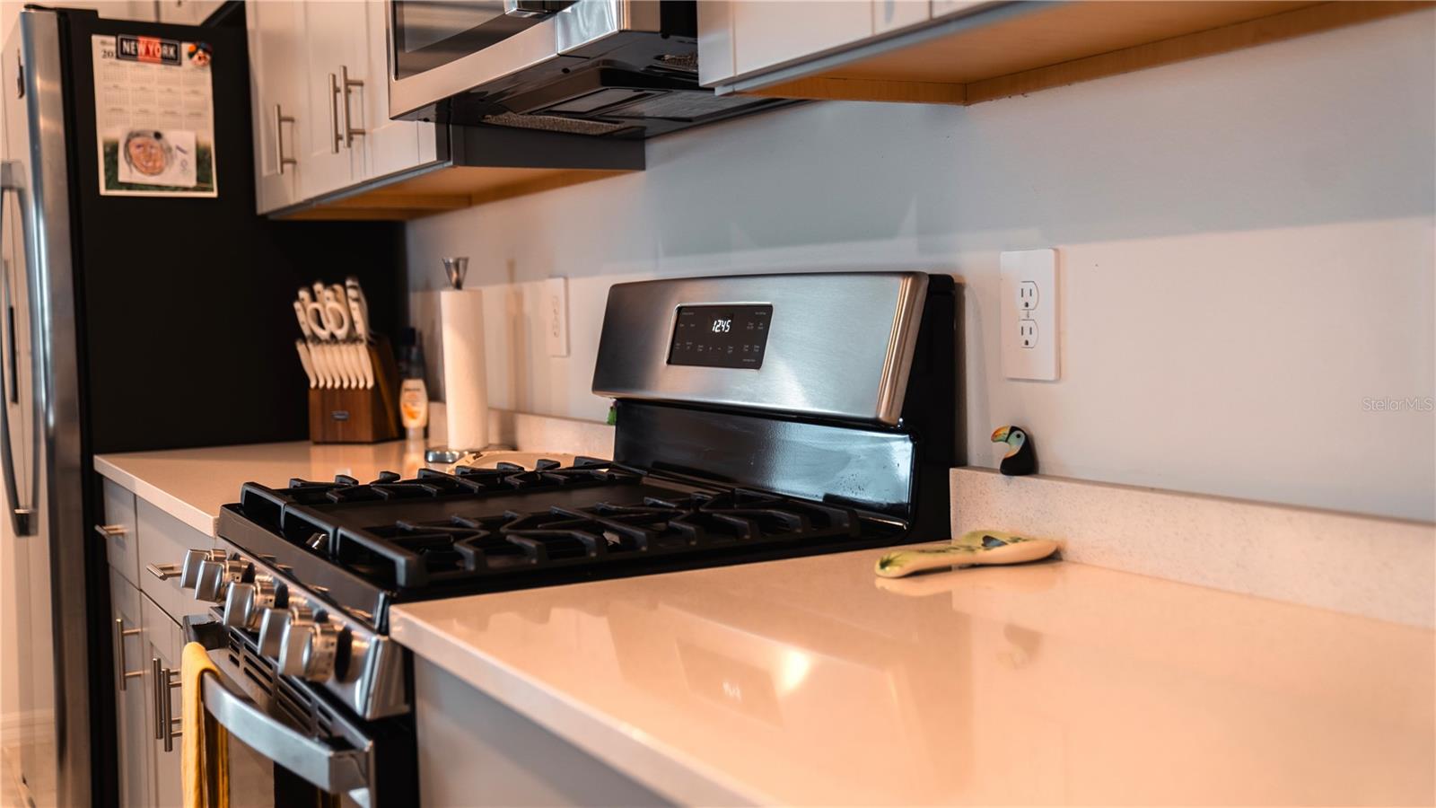 33891 SKY BLOSSOM CIR, LEESBURG, FL, 34788