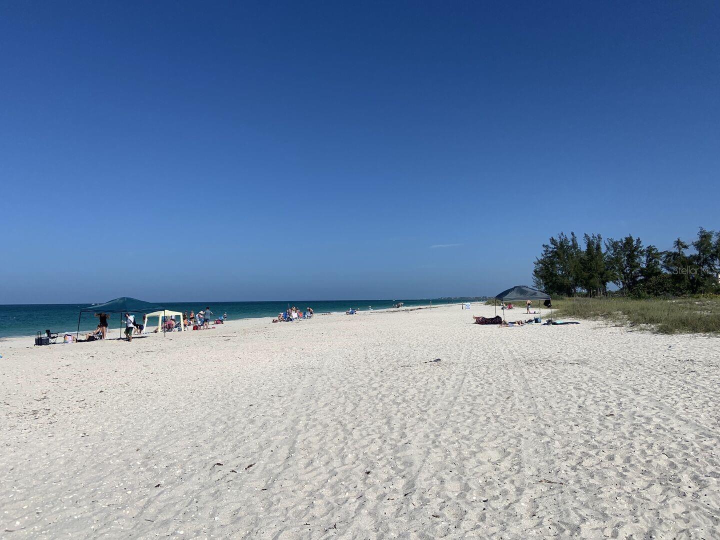 15277 SHADY PALMS LN, NOKOMIS, FL, 34275