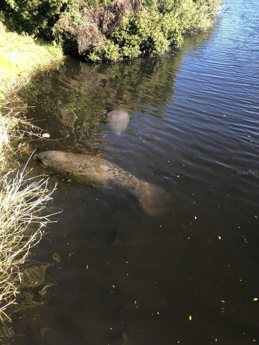 2290 ENJOYA LN, MELBOURNE, FL, 32901