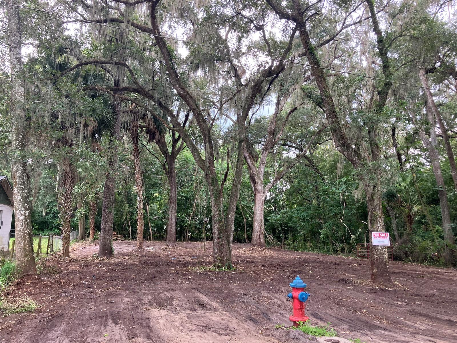 4602 19TH AVE AVE, OCALA, FL, 34480