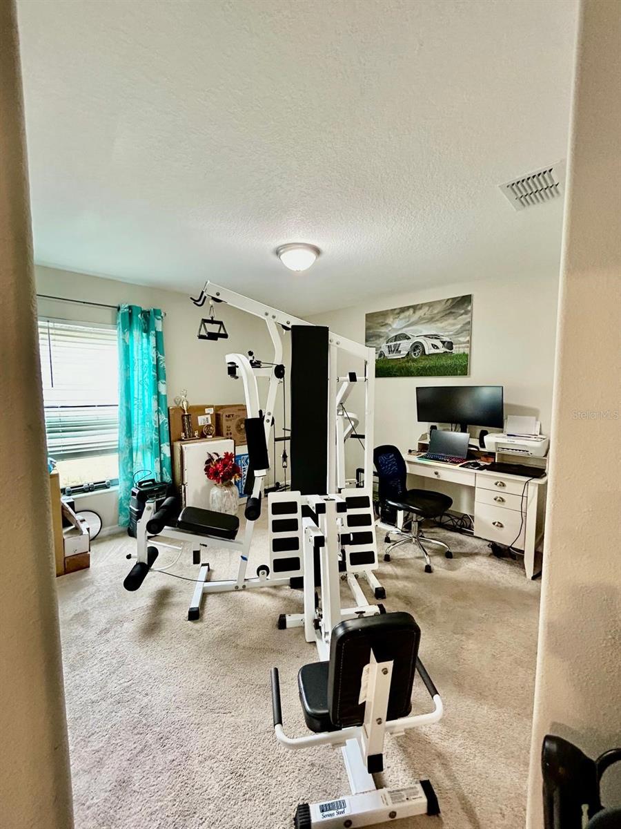 14015 ARBOR PINES DR, RIVERVIEW, FL, 33579