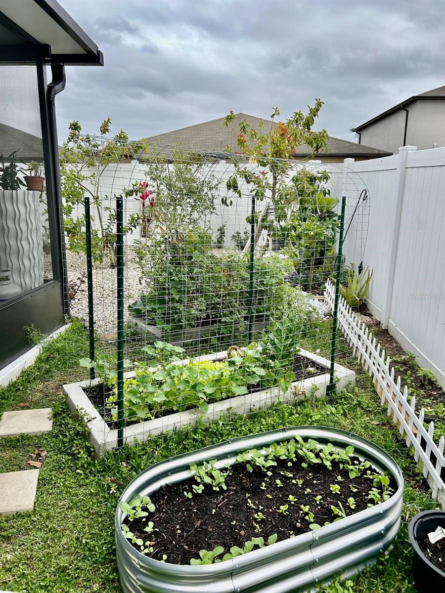 14015 ARBOR PINES DR, RIVERVIEW, FL, 33579