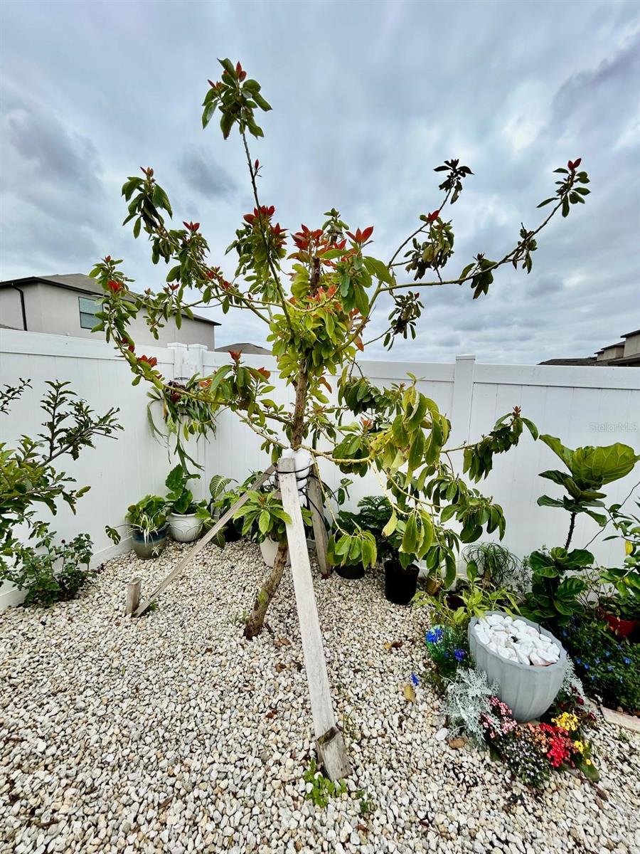 14015 ARBOR PINES DR, RIVERVIEW, FL, 33579