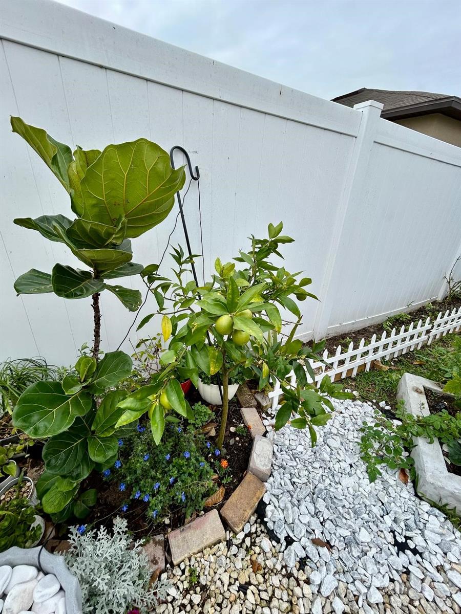 14015 ARBOR PINES DR, RIVERVIEW, FL, 33579