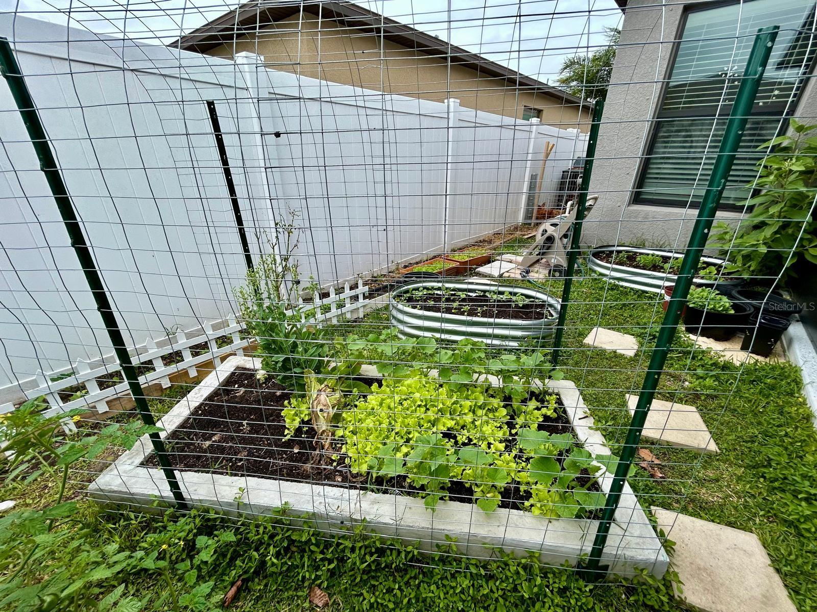 14015 ARBOR PINES DR, RIVERVIEW, FL, 33579