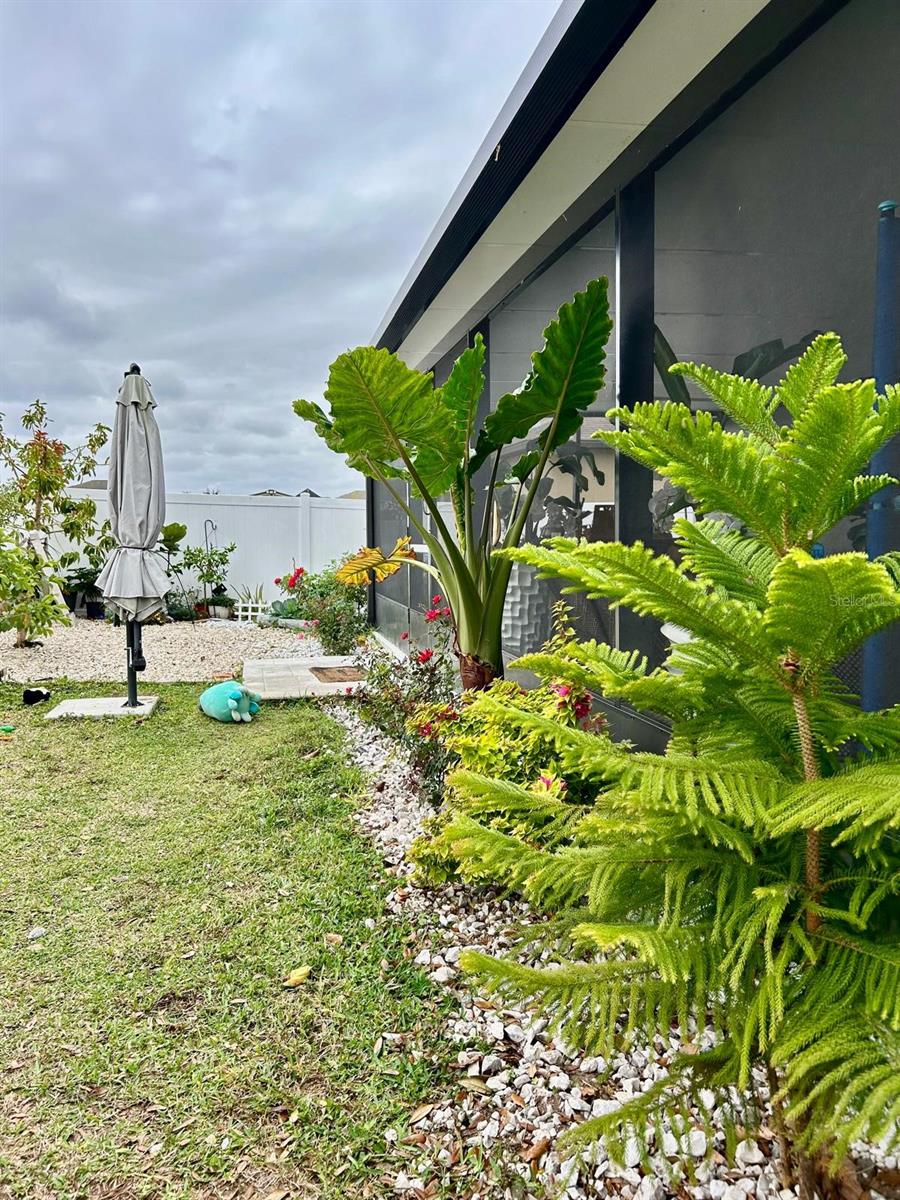 14015 ARBOR PINES DR, RIVERVIEW, FL, 33579