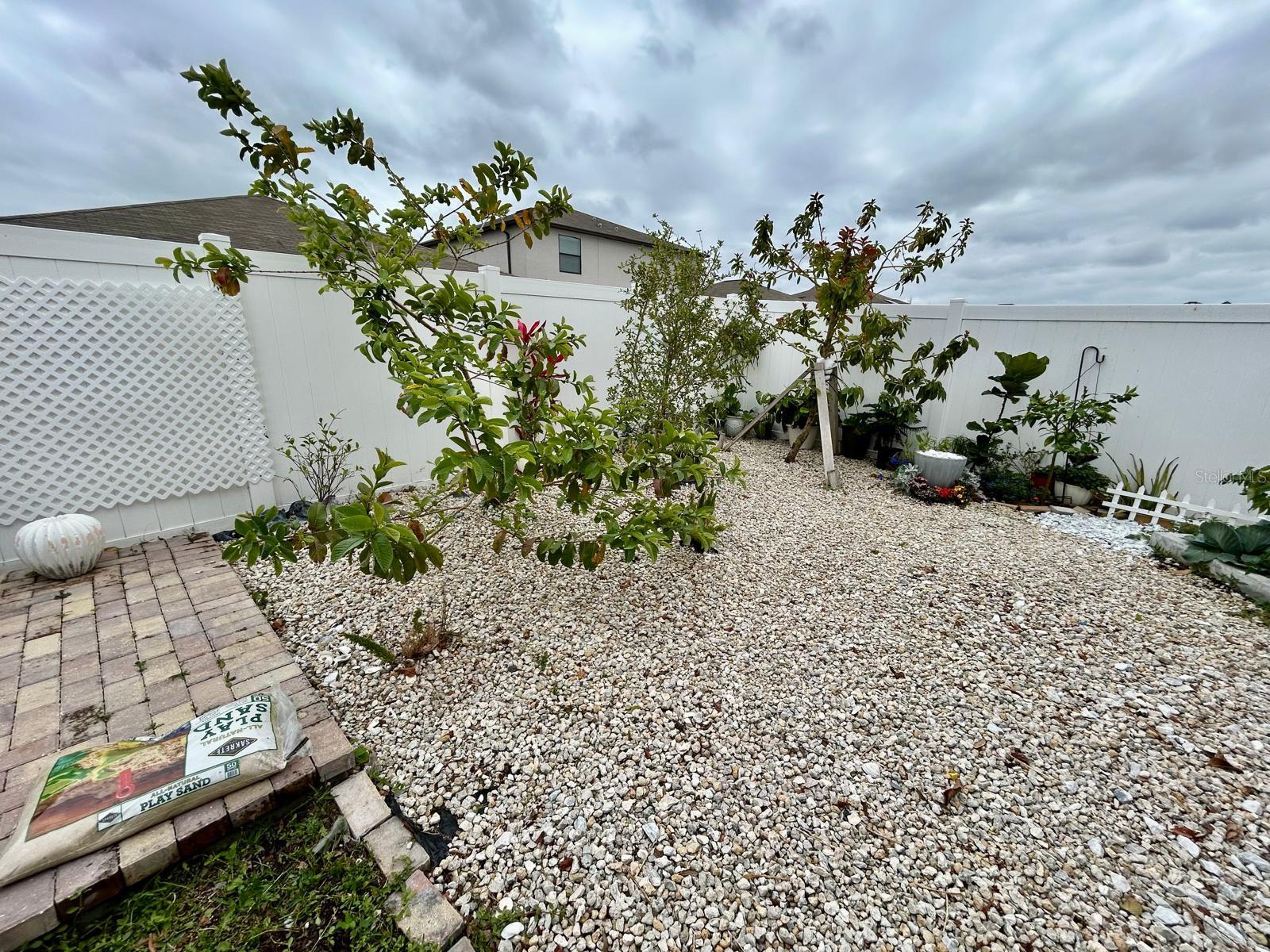 14015 ARBOR PINES DR, RIVERVIEW, FL, 33579