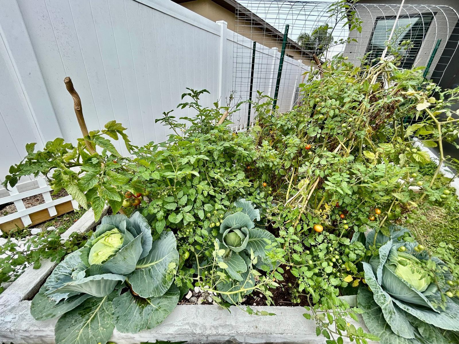 14015 ARBOR PINES DR, RIVERVIEW, FL, 33579