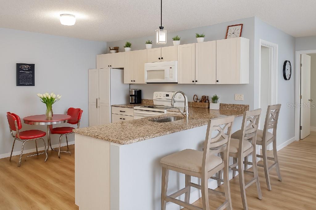 3533 ROANOKE ST, THE VILLAGES, FL, 32162