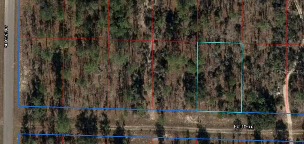 TBD NE 16TH LN, WILLISTON, FL, 32696