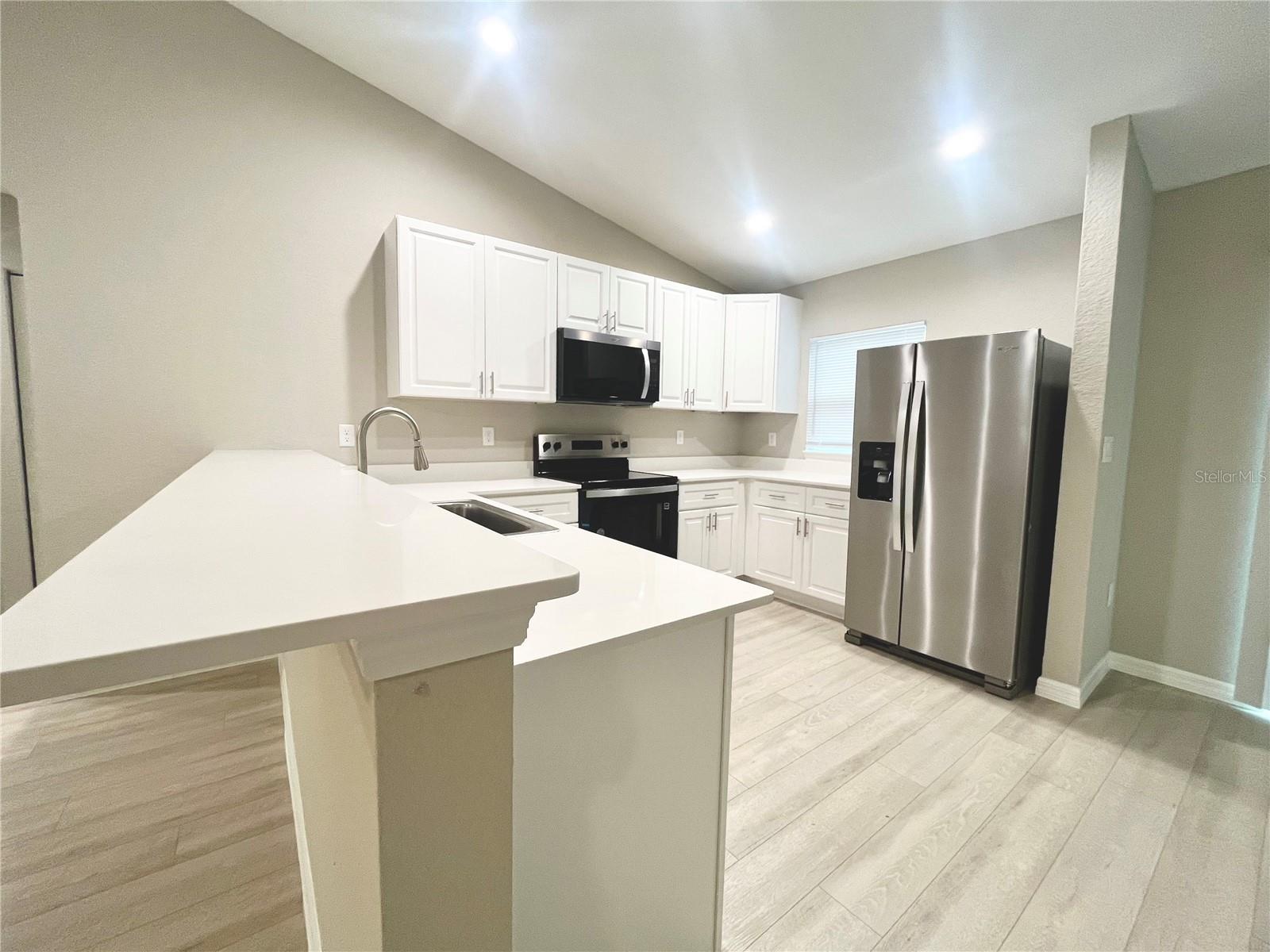 11 BAY PLACE CT, OCKLAWAHA, FL, 32179