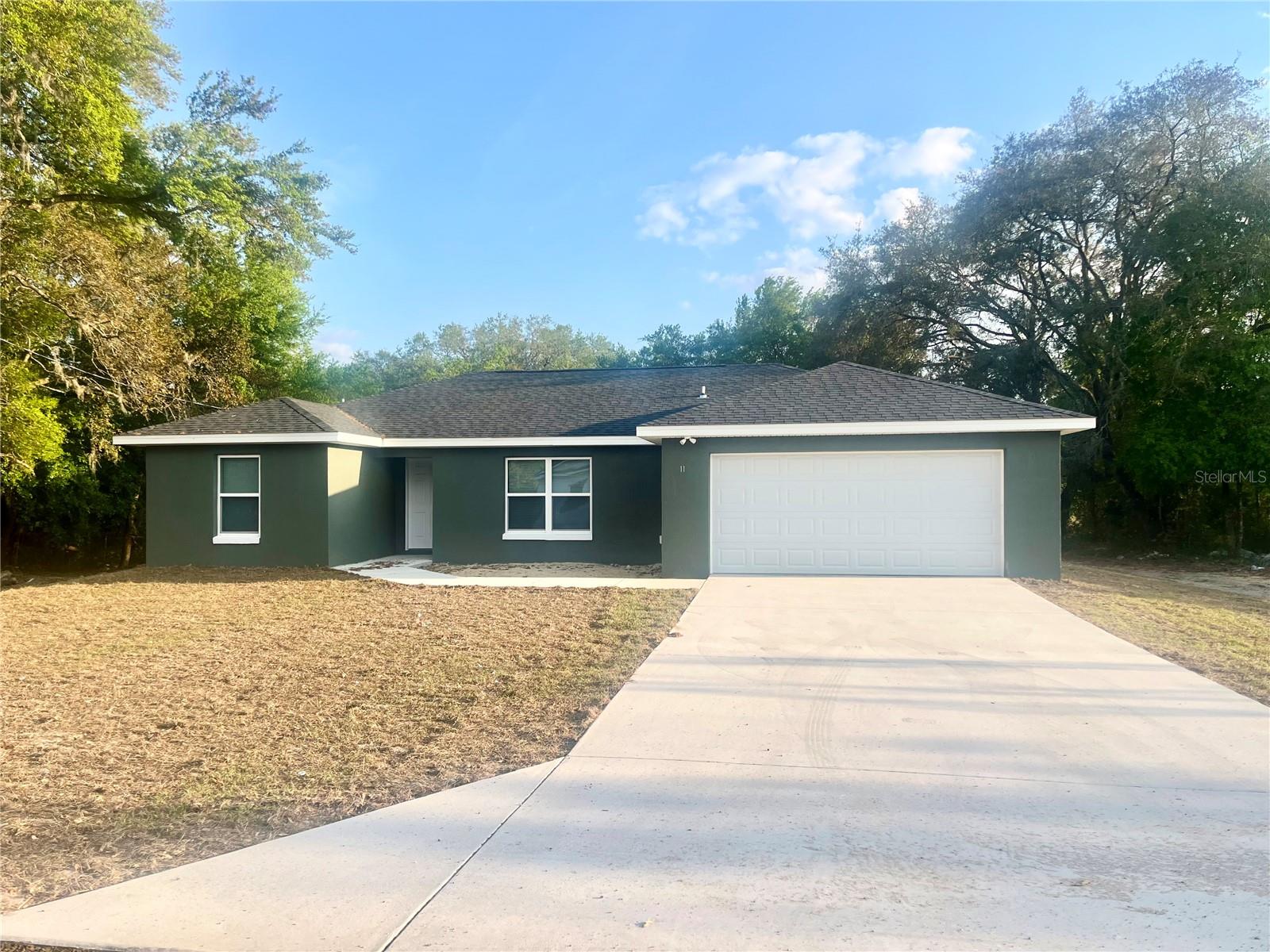 11 BAY PLACE CT, OCKLAWAHA, FL, 32179