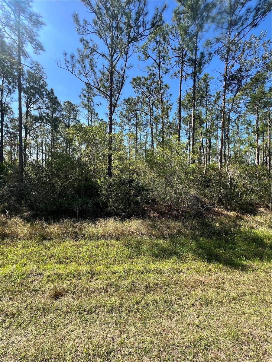 ALTHEA DR, INDIAN LAKE ESTATES, FL, 33855