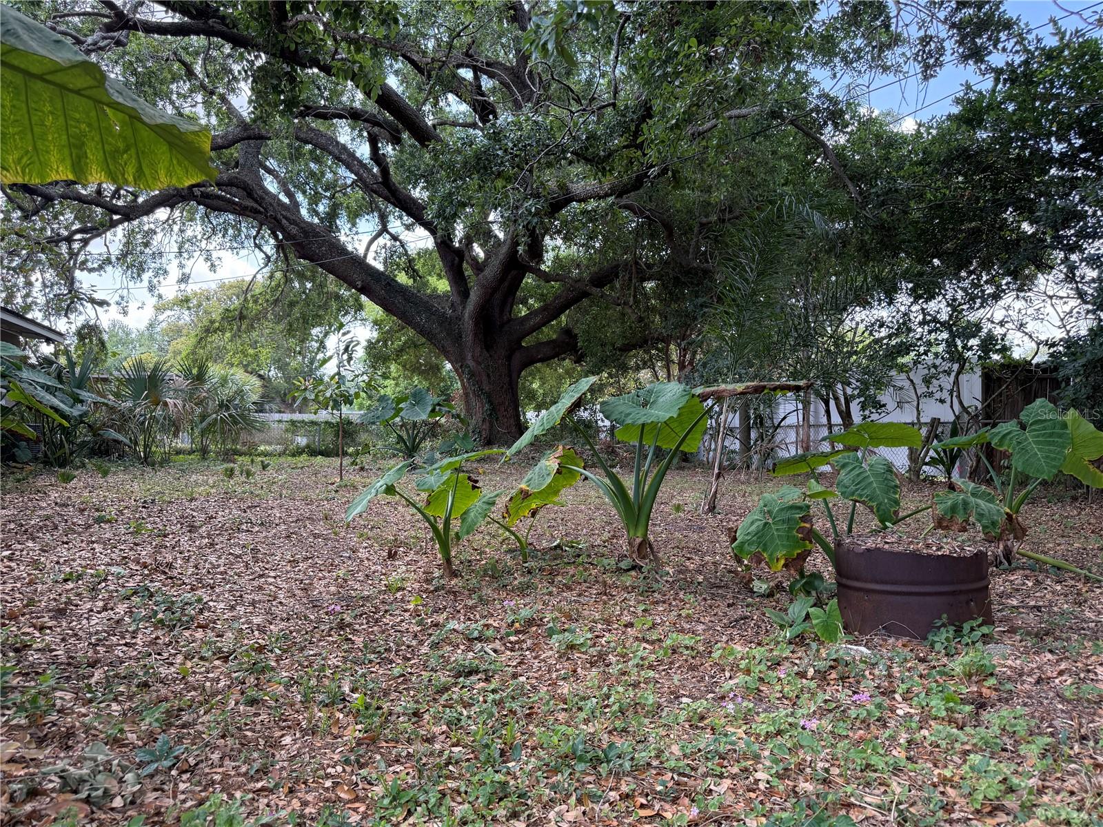 1528 BALTIMORE DR, ORLANDO, FL, 32810