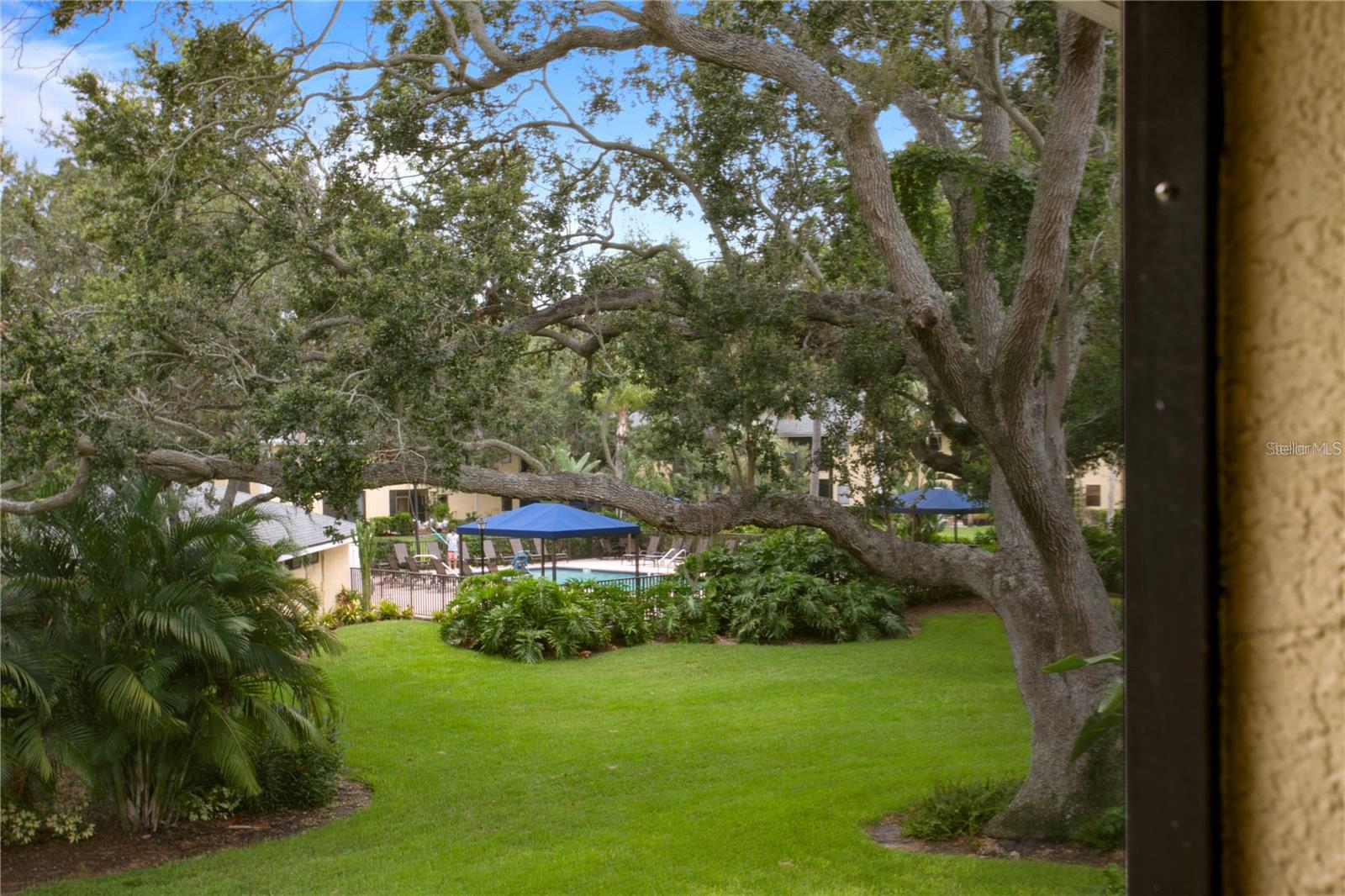 3001 58TH AVE S #1014(Furnished), ST PETERSBURG, FL, 33712