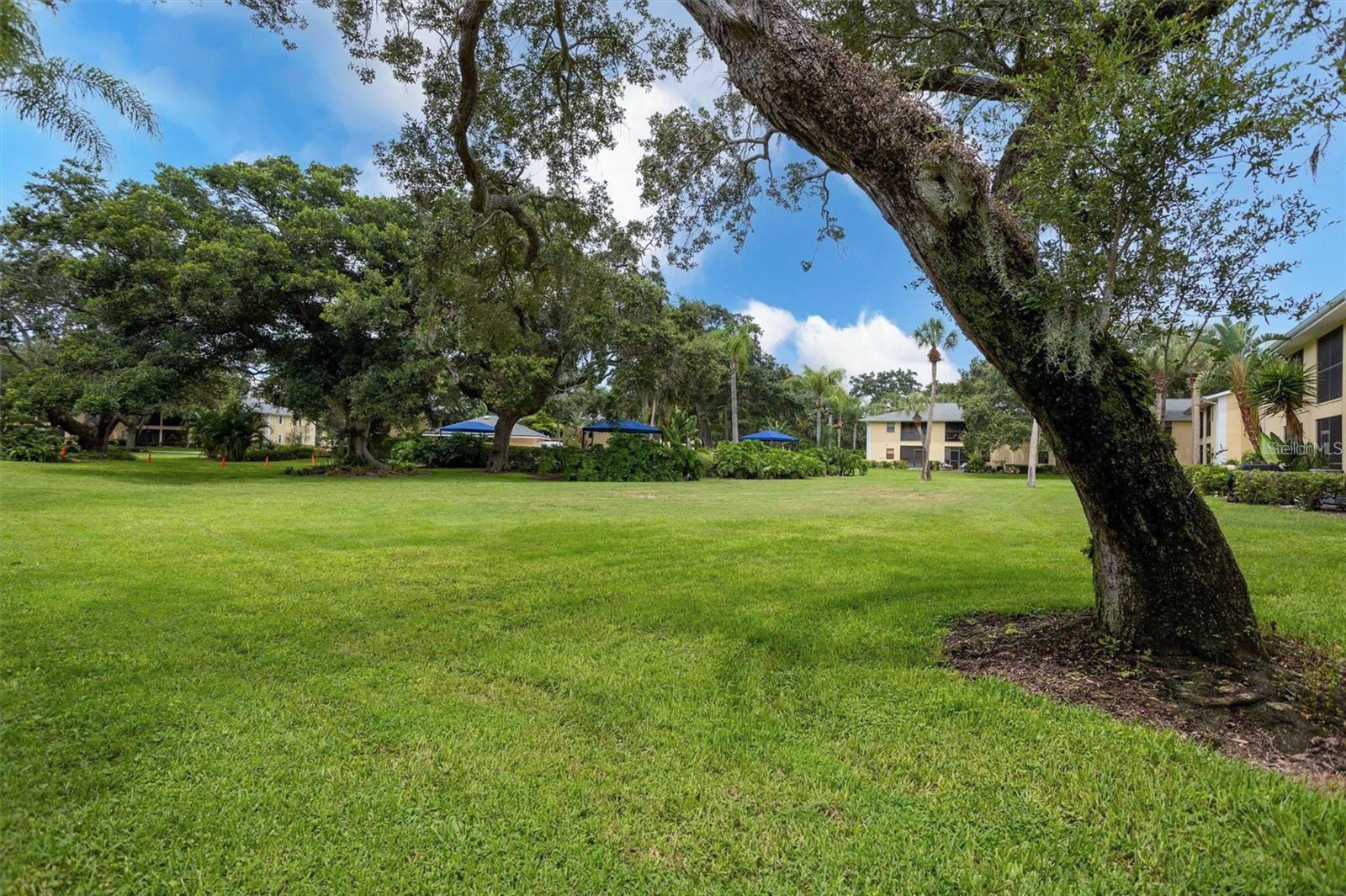 3001 58TH AVE S #1014(Furnished), ST PETERSBURG, FL, 33712