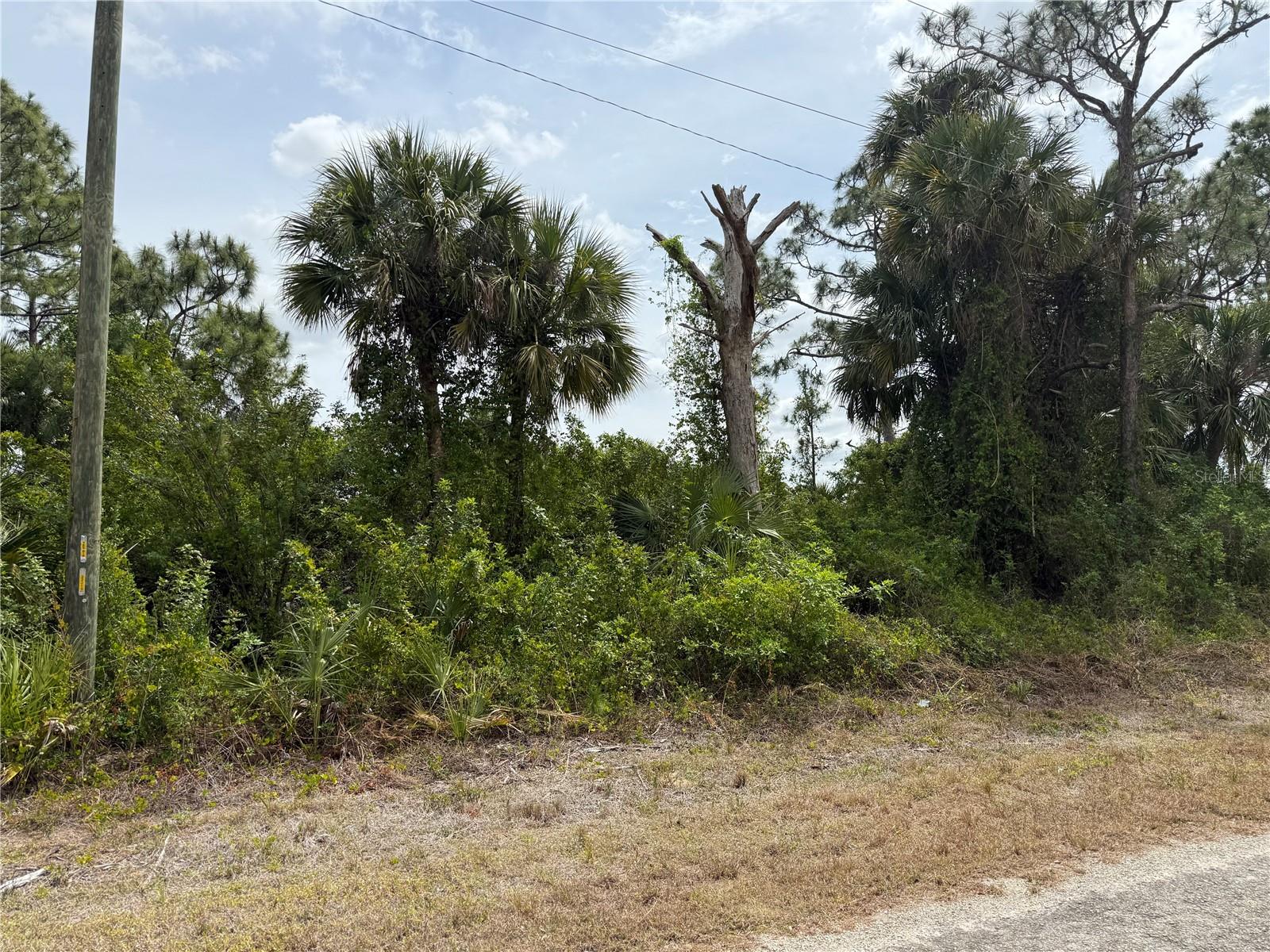 557 NAPLES AVE S, LEHIGH ACRES, FL, 33974