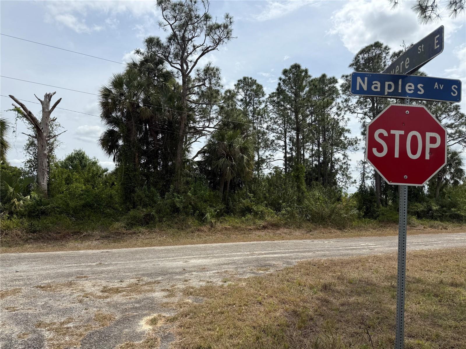 557 NAPLES AVE S, LEHIGH ACRES, FL, 33974