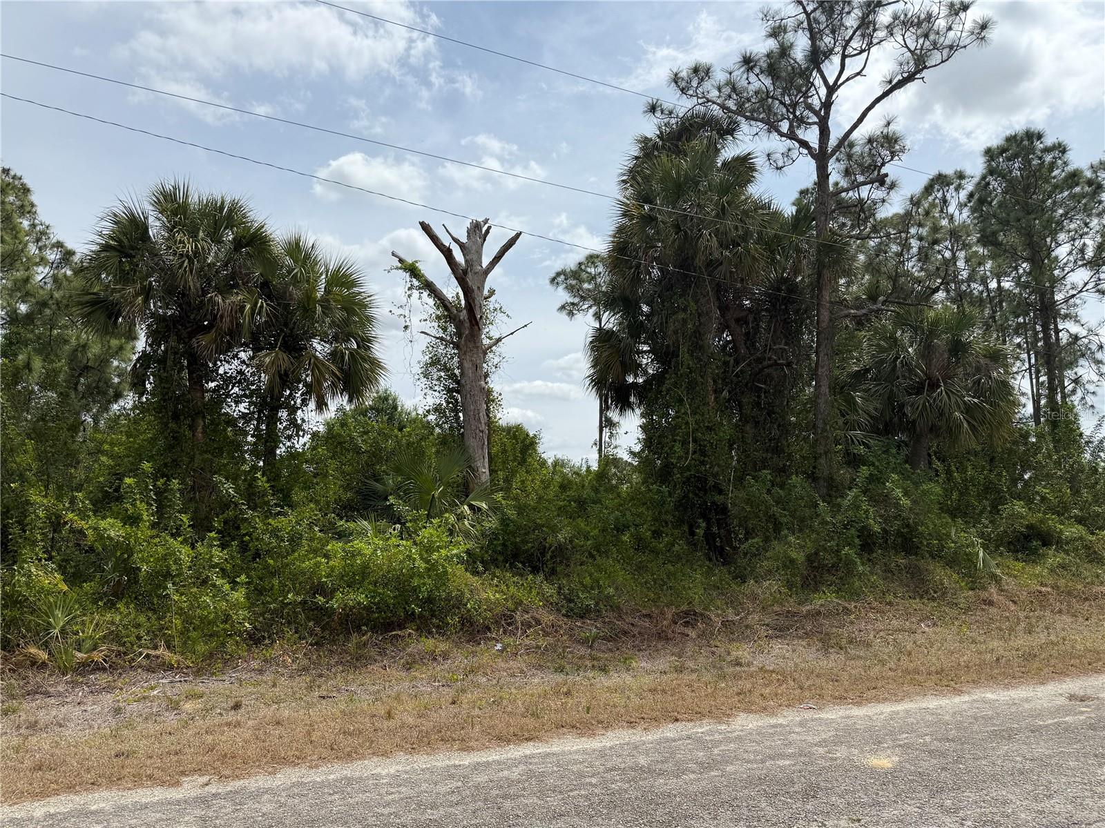 557 NAPLES AVE S, LEHIGH ACRES, FL, 33974