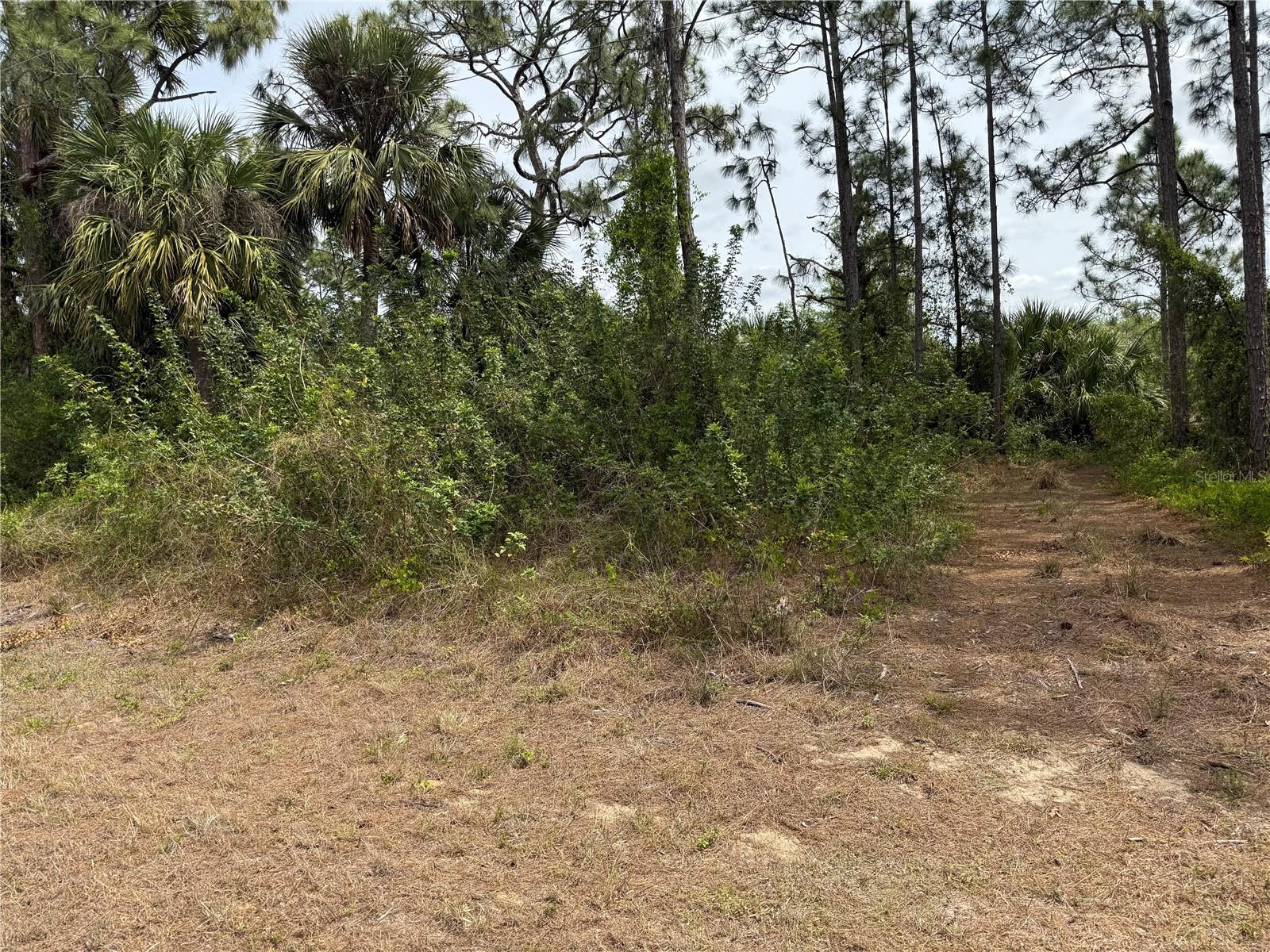 557 NAPLES AVE S, LEHIGH ACRES, FL, 33974