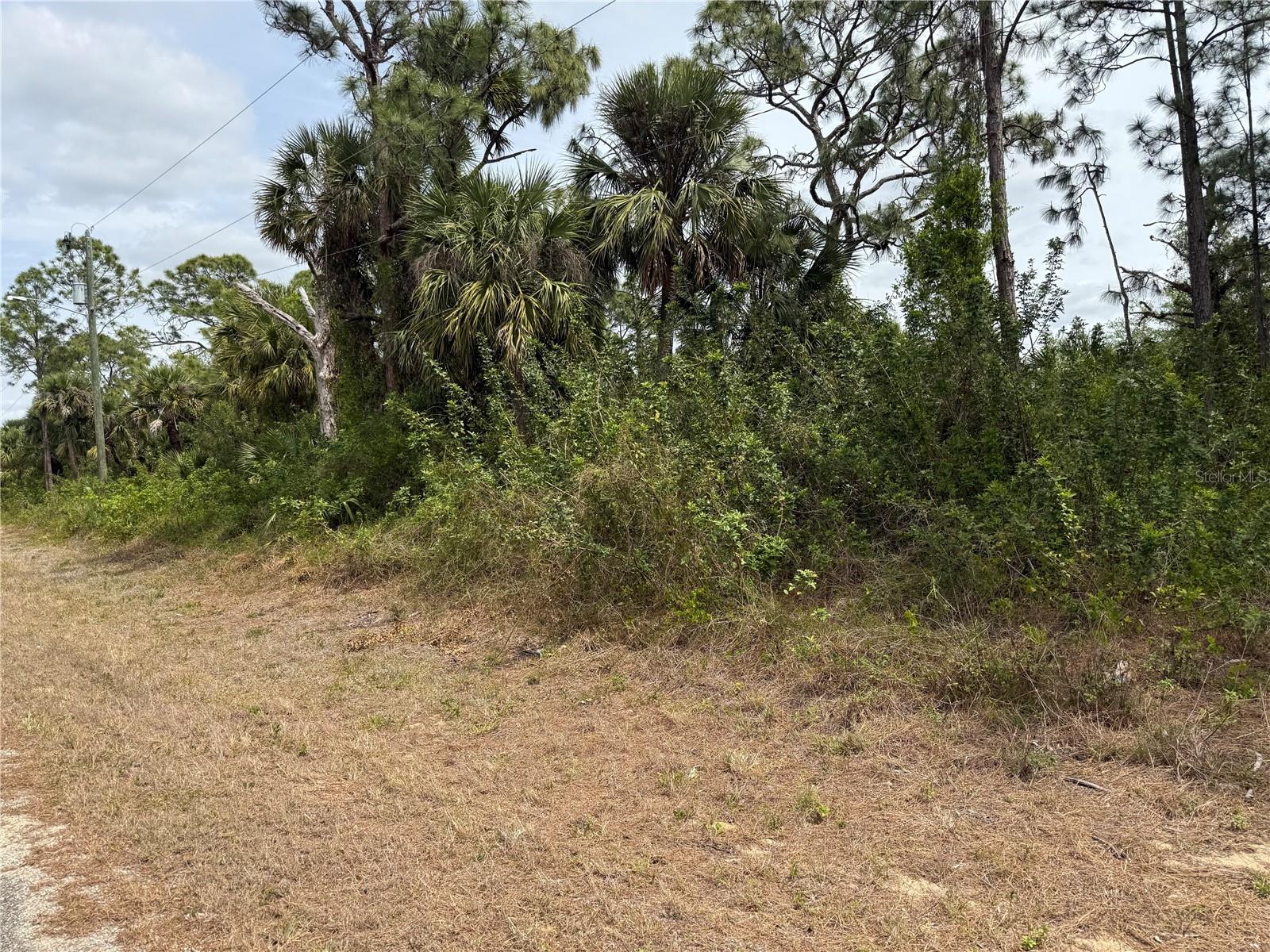 557 NAPLES AVE S, LEHIGH ACRES, FL, 33974