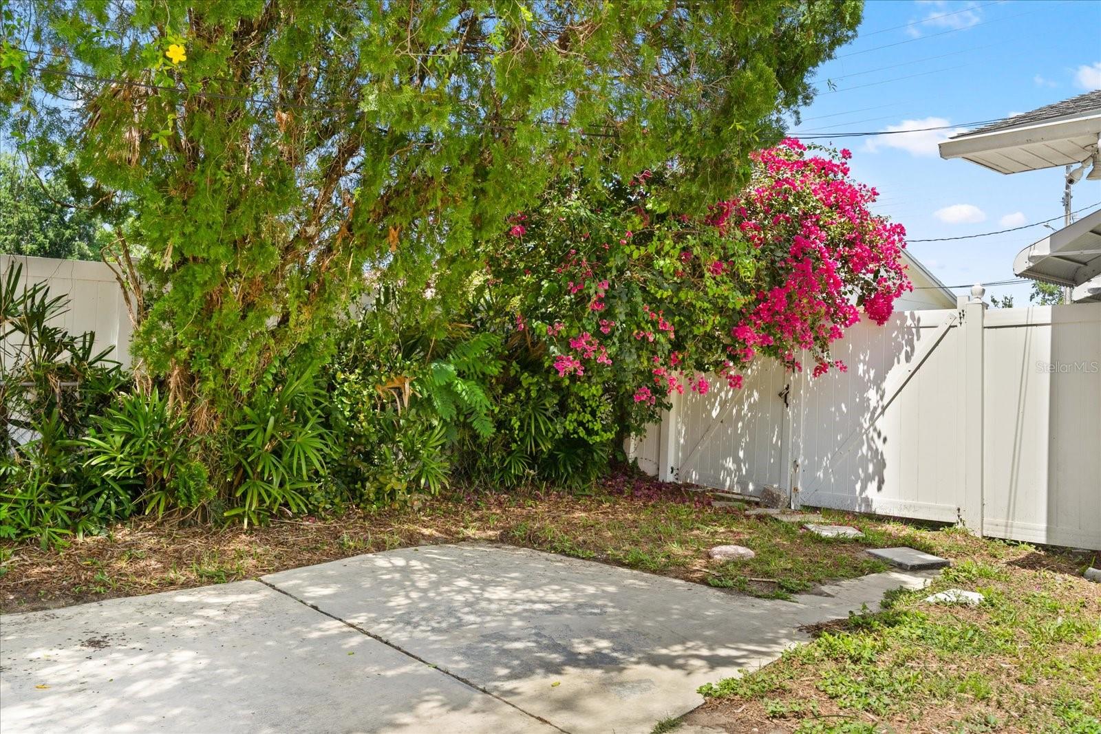 2906 E GRANT AVE, ORLANDO, FL, 32806