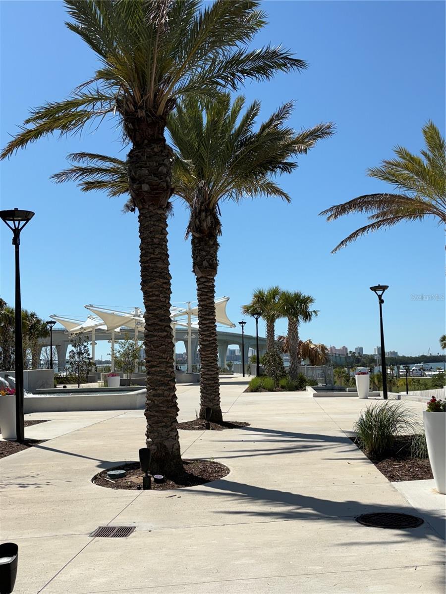 628 CLEVELAND ST #906, CLEARWATER, FL, 33755