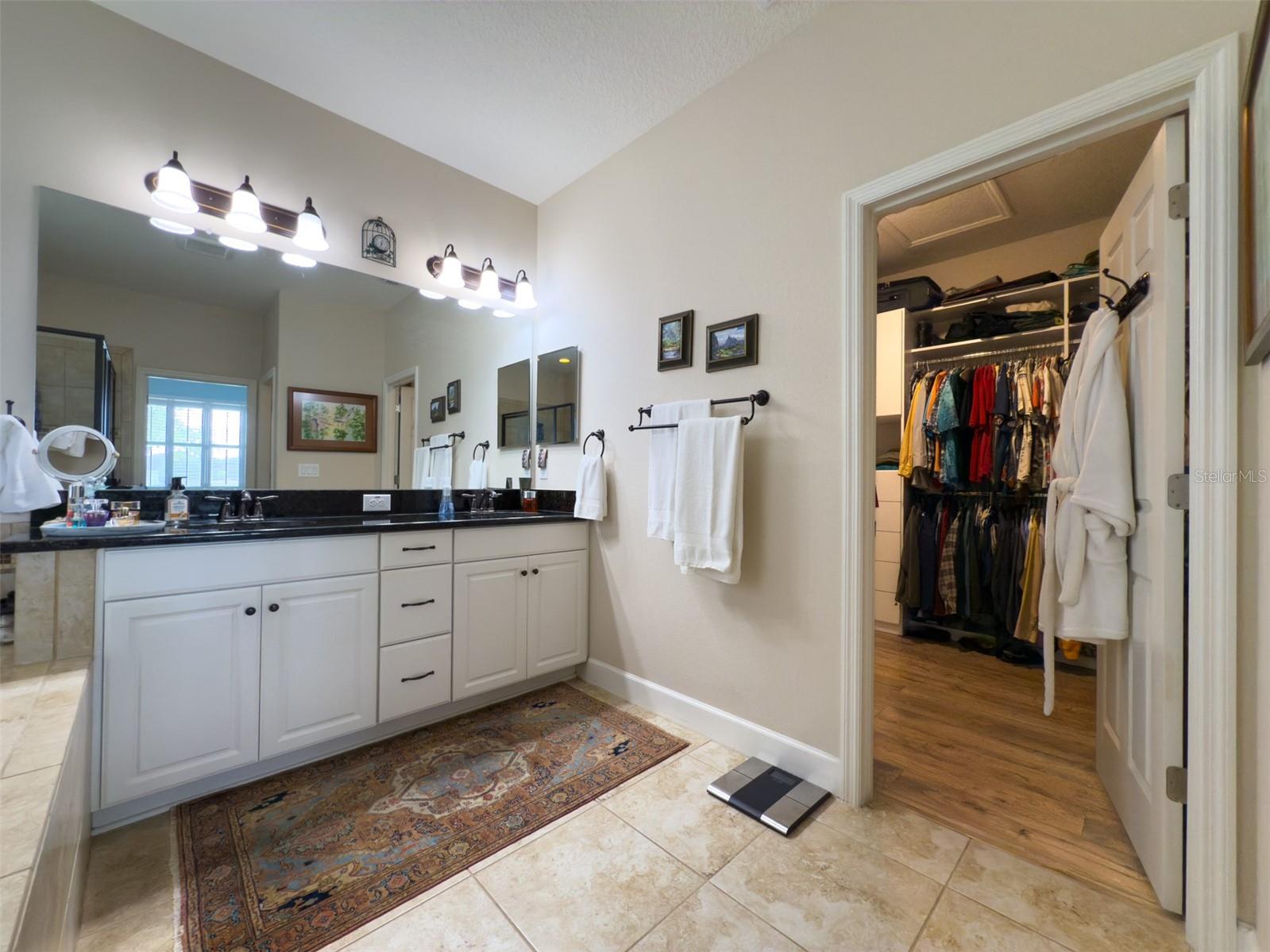 17609 BUCKINGHAM GARDEN DR, LITHIA, FL, 33547