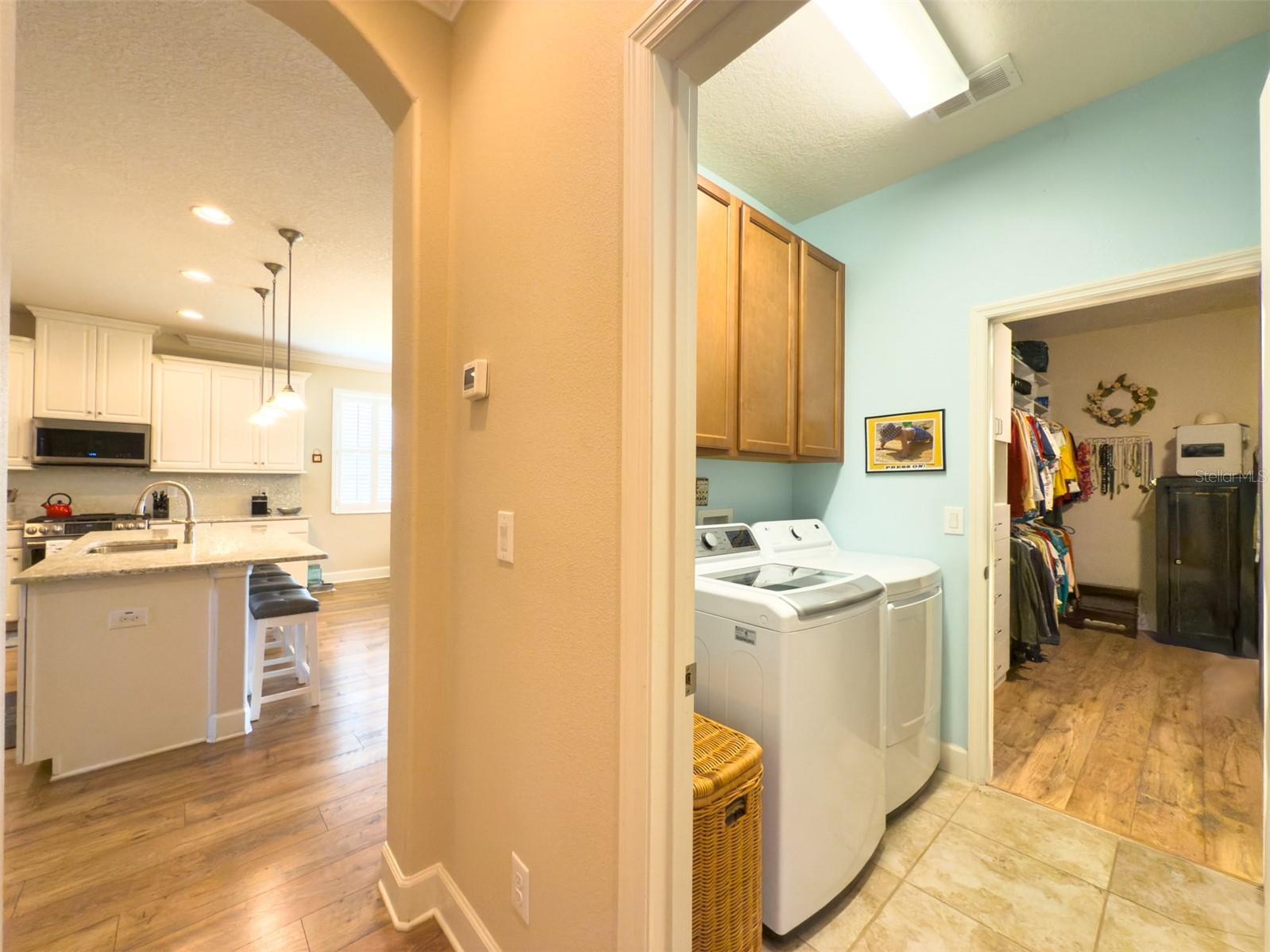 17609 BUCKINGHAM GARDEN DR, LITHIA, FL, 33547