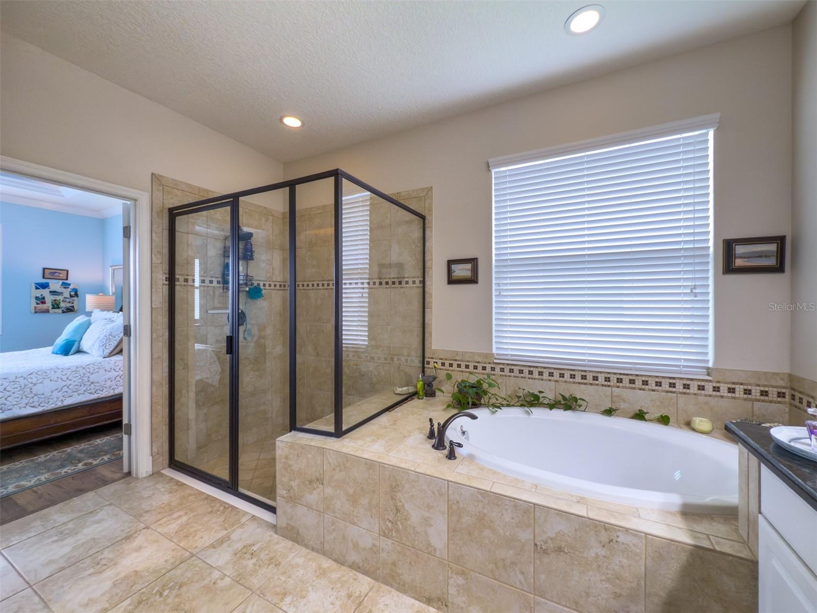 17609 BUCKINGHAM GARDEN DR, LITHIA, FL, 33547