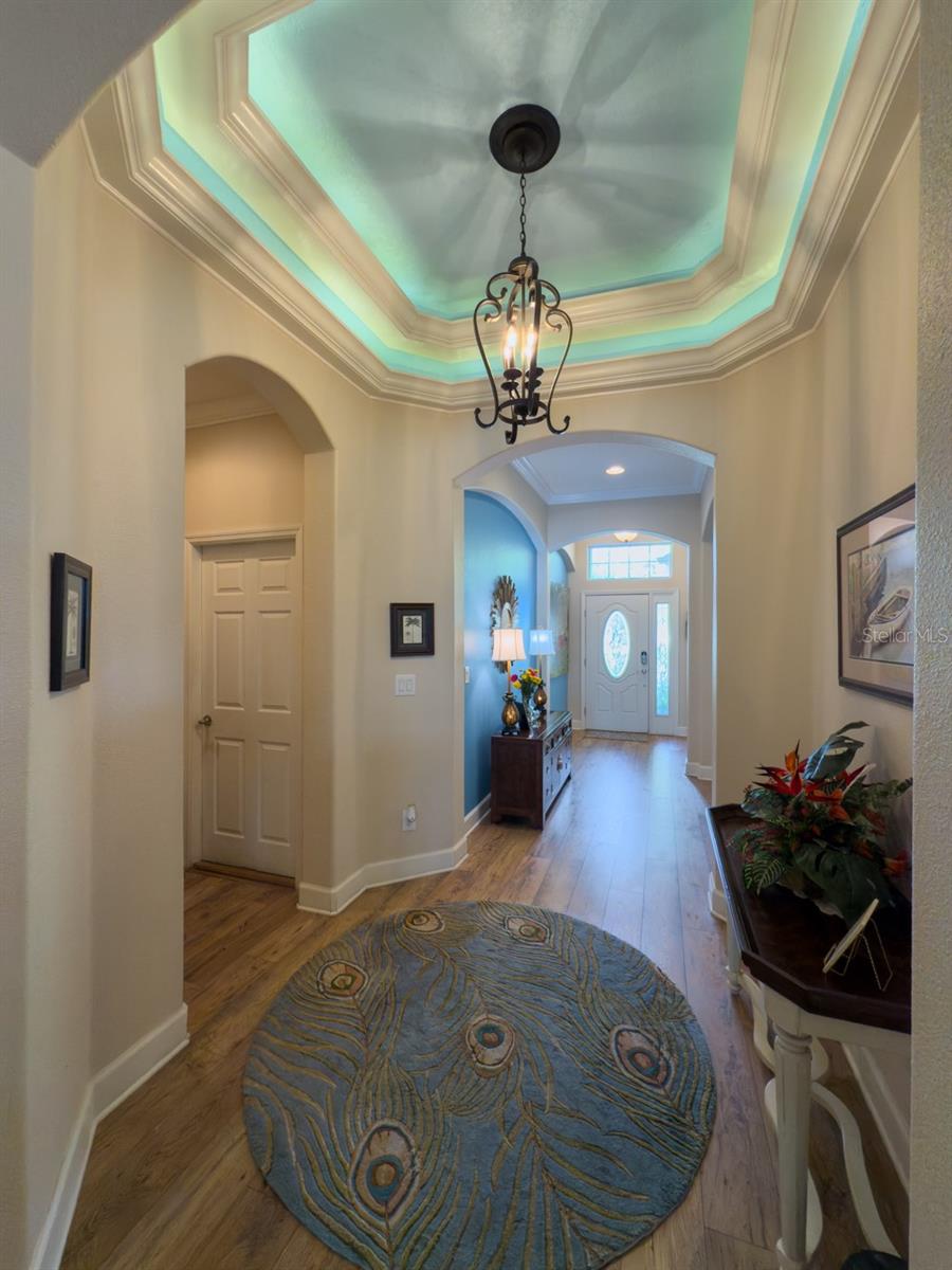 17609 BUCKINGHAM GARDEN DR, LITHIA, FL, 33547