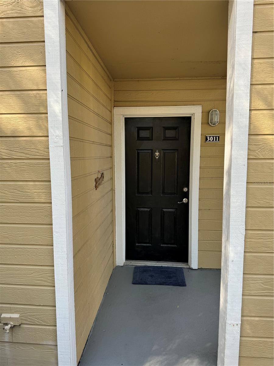 1041 S HIAWASSEE RD #3011, ORLANDO, FL, 32835