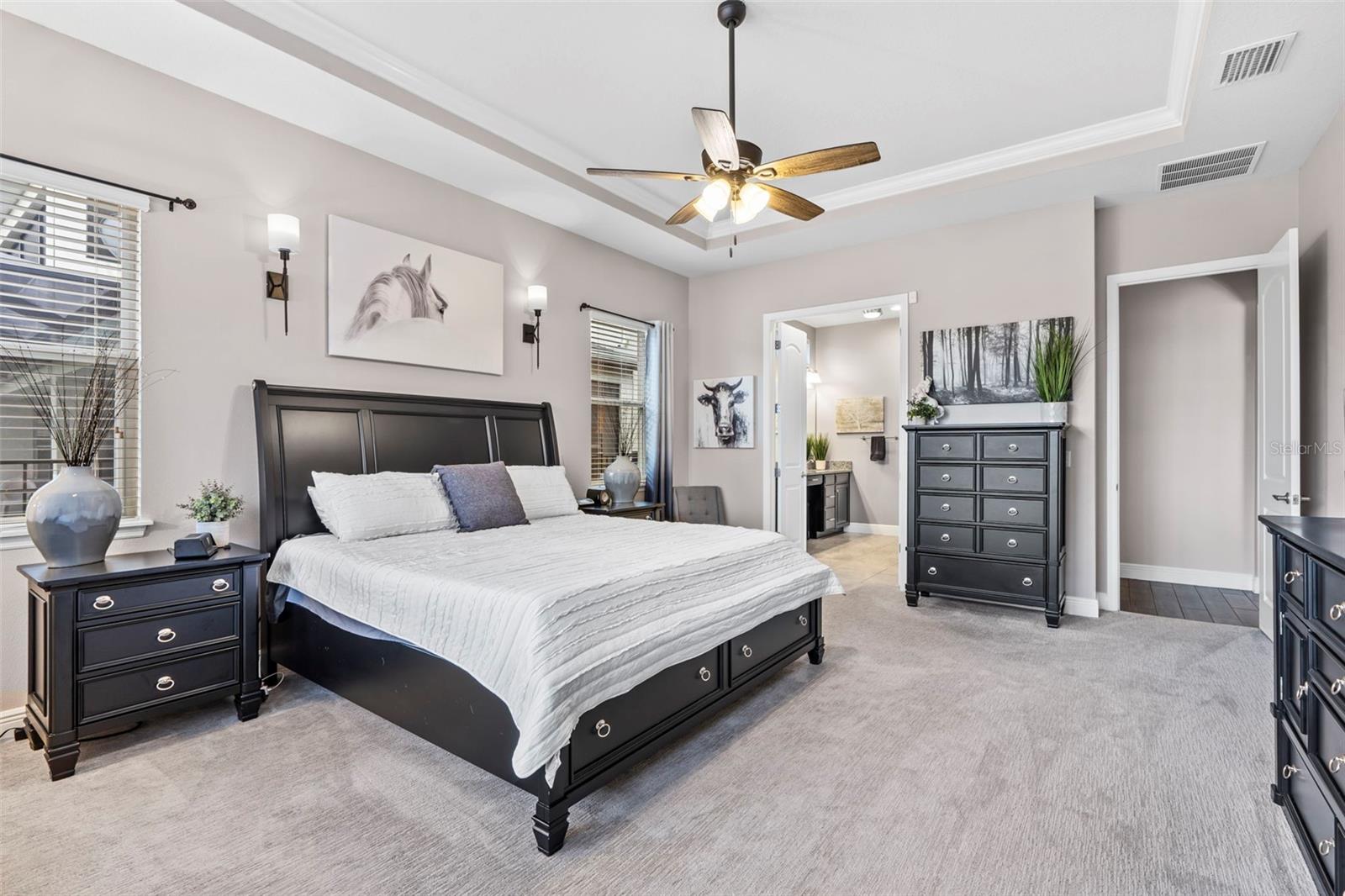 11851 LAKE LUCAYA DR, RIVERVIEW, FL, 33579